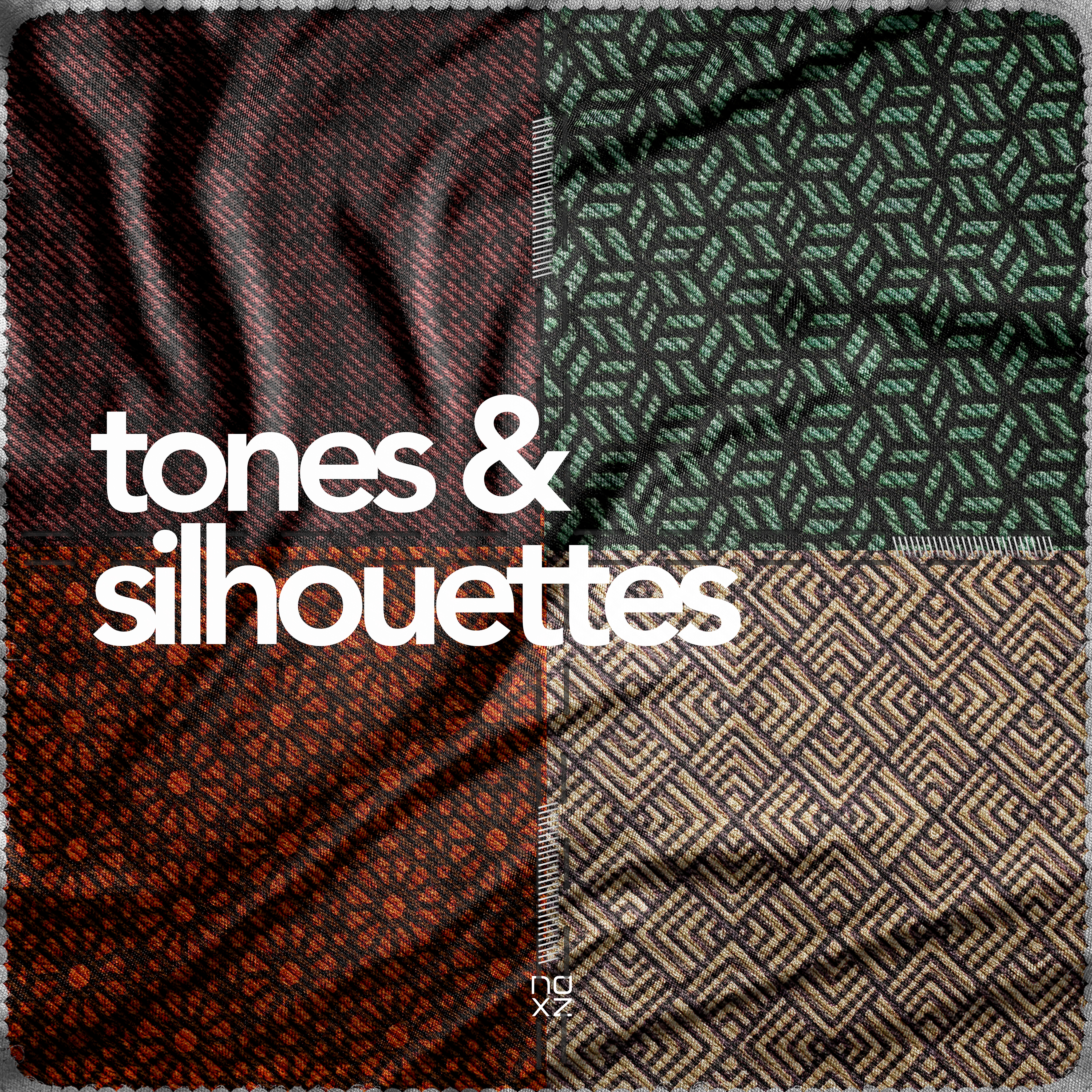 Tones+Silhouettes artwork