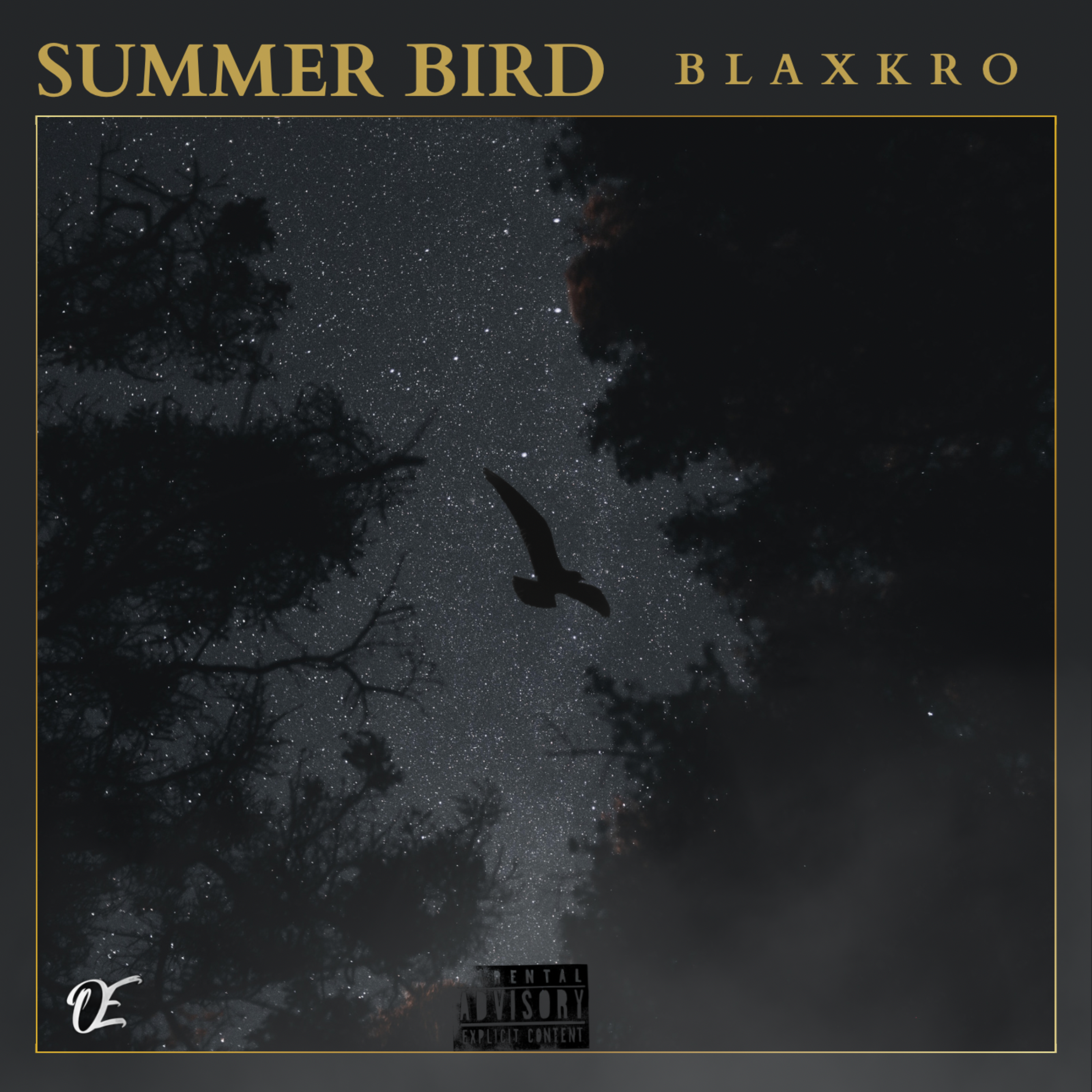 Summer Bird by BlaxkRo cover art