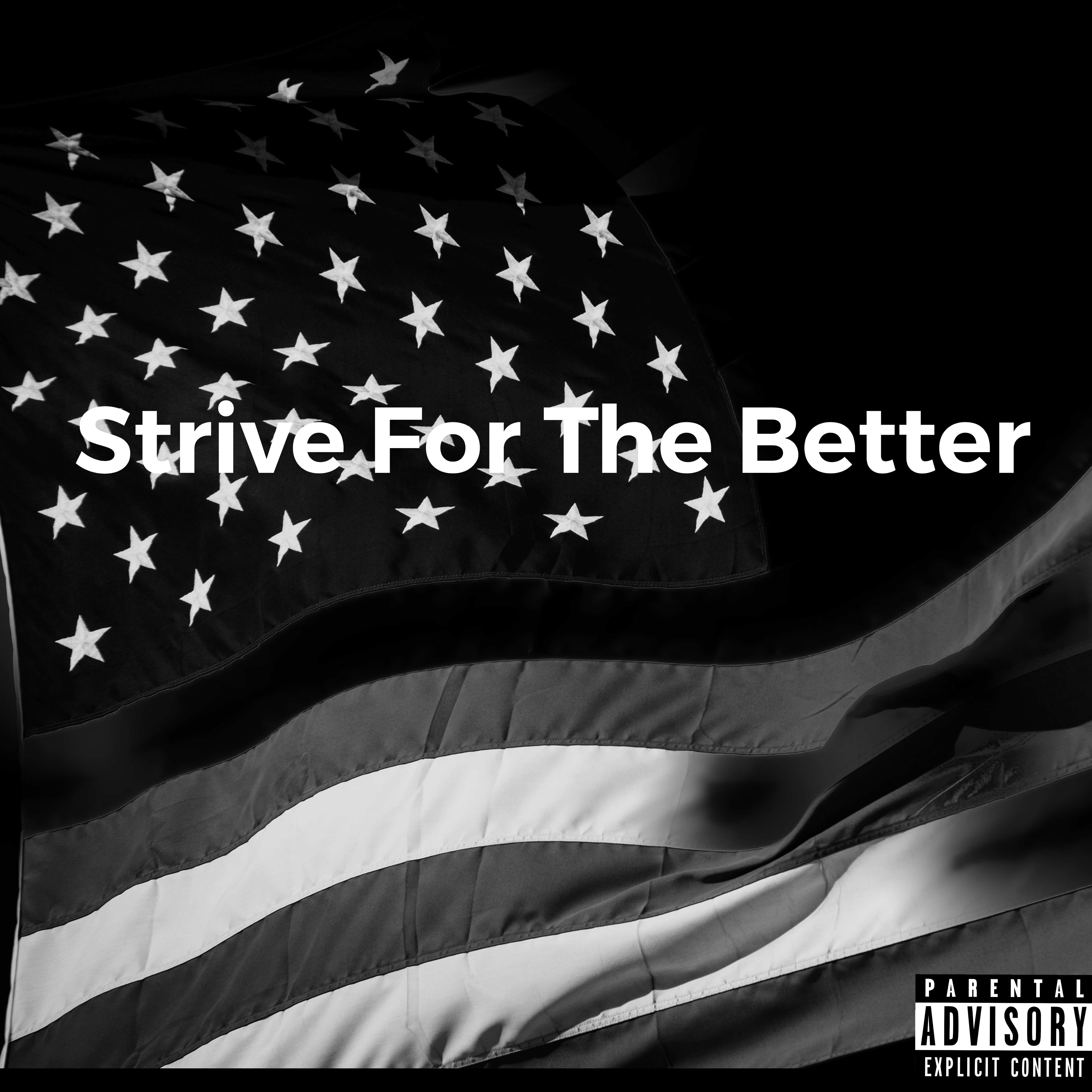 Strive For The Better artwork