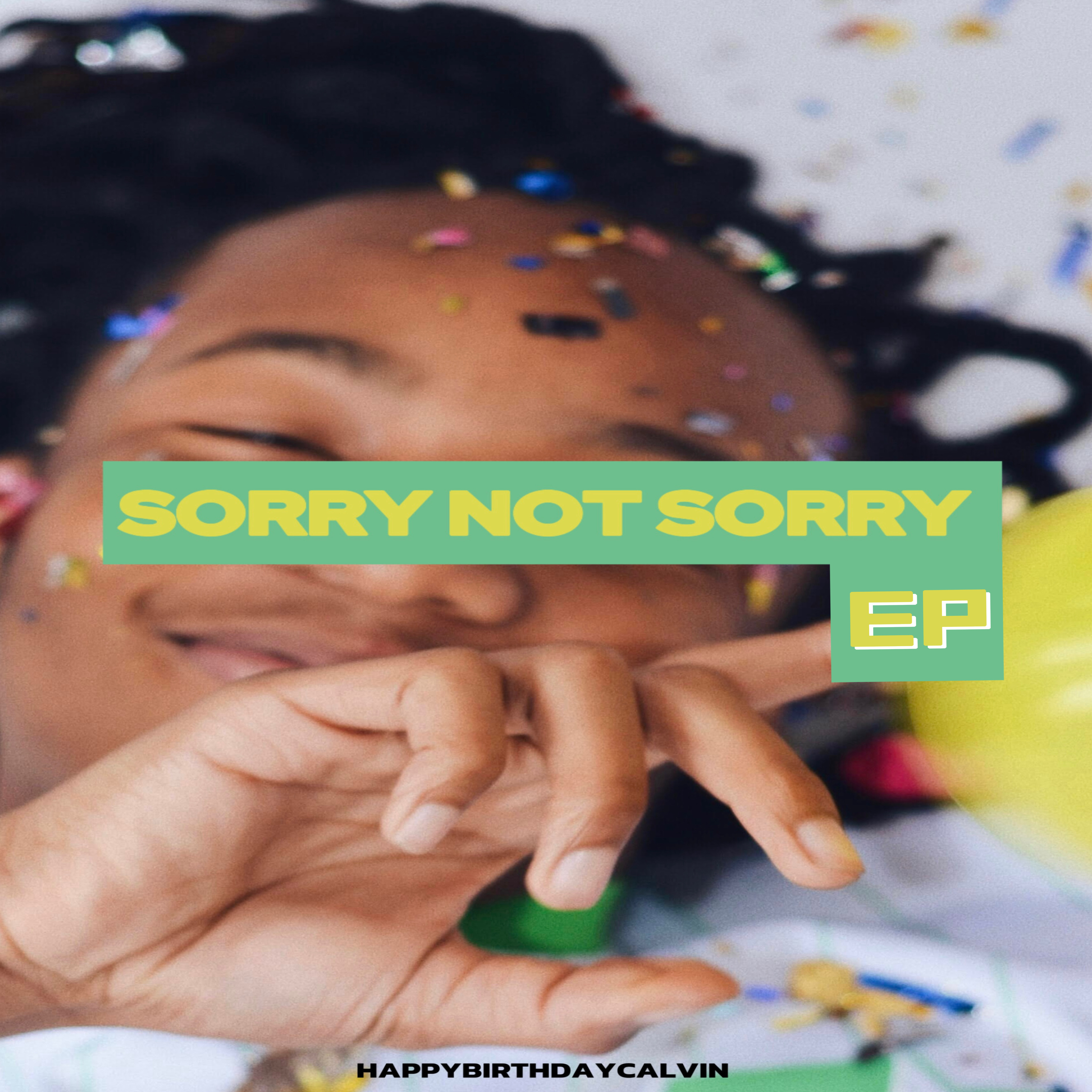 Sorry Not Sorry artwork