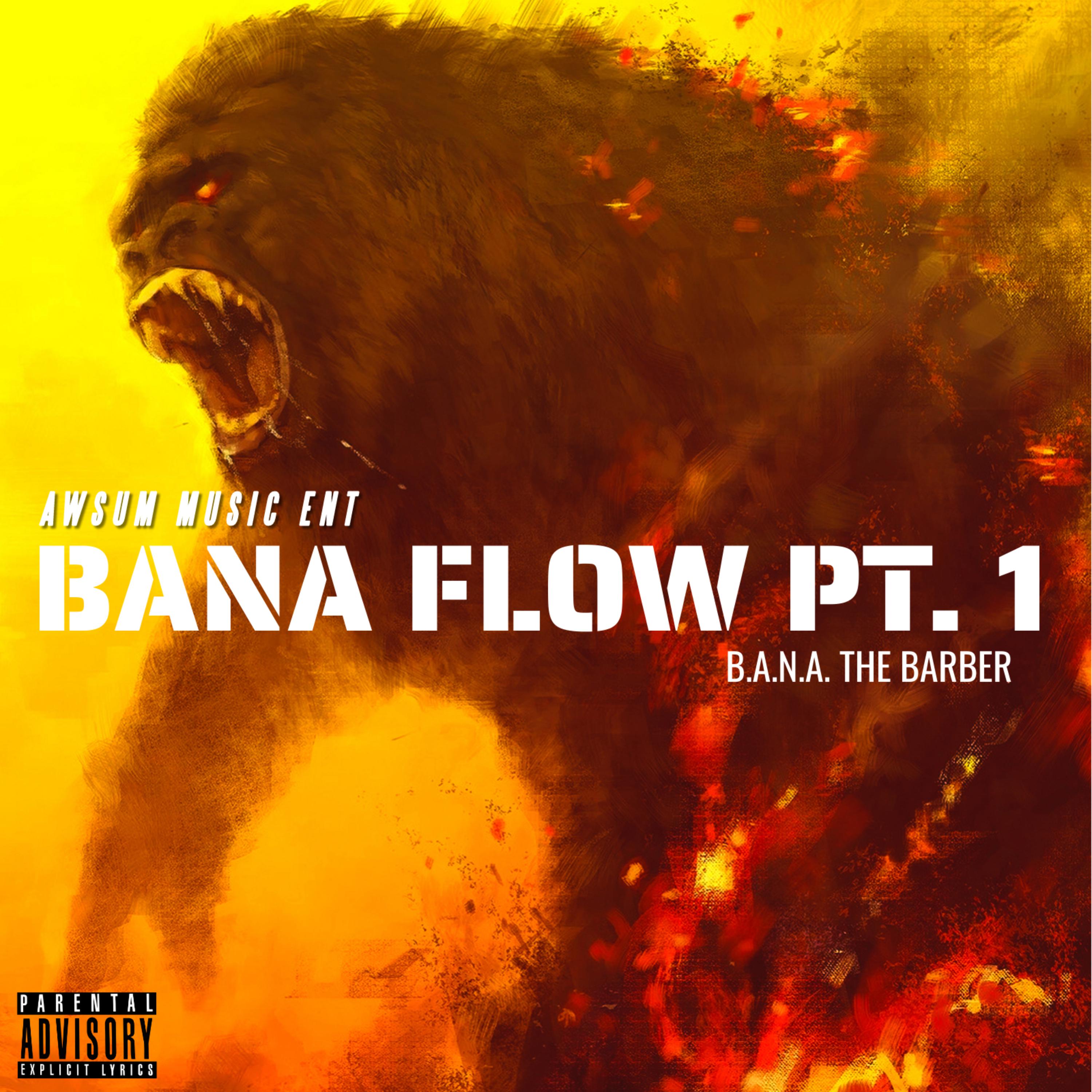 BANA FLOW PT. 1 artwork