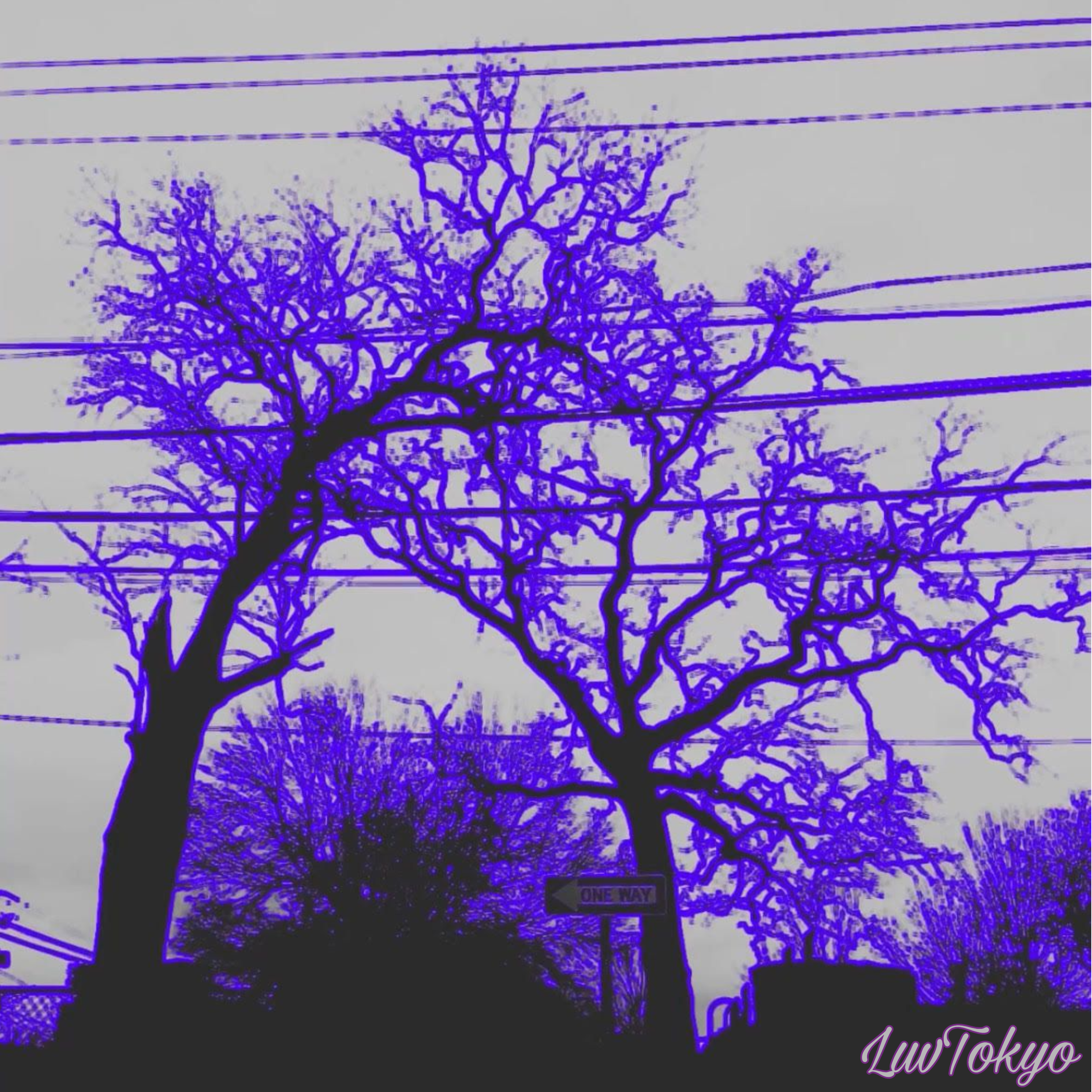 A Star With A Scar by LuvTokyo cover art