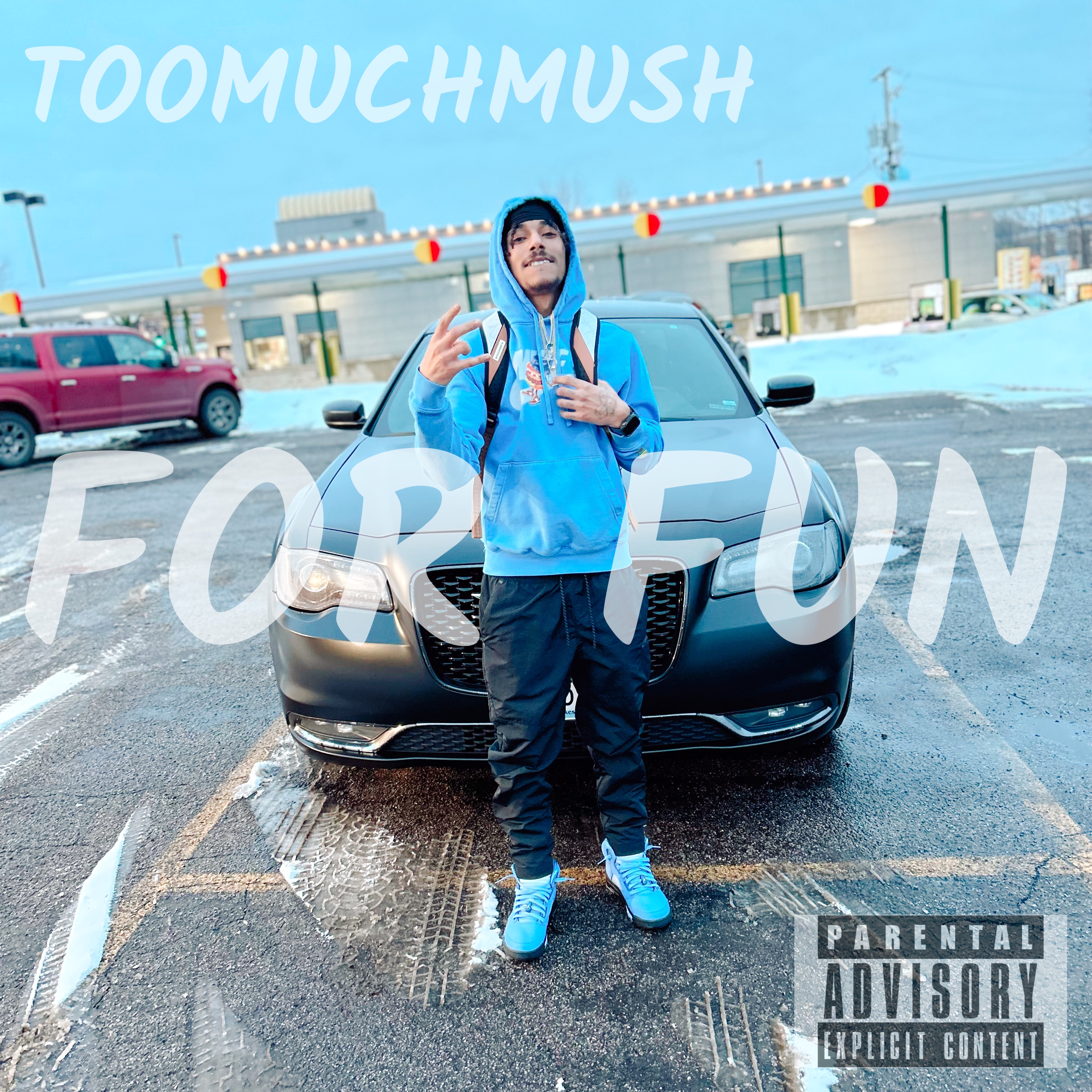 FOR FUN by TOOMUCHMUSH cover art