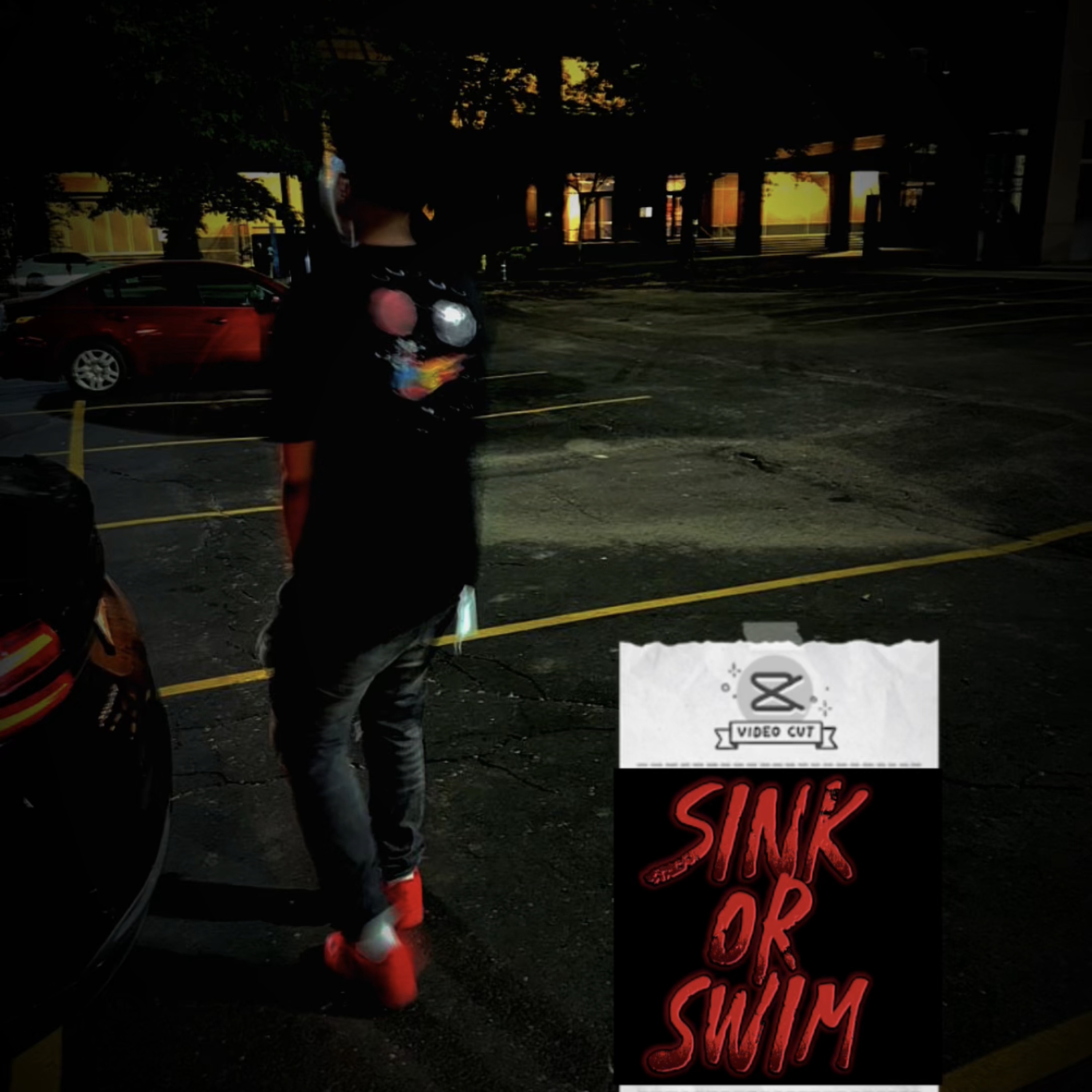 Sink Or Swim artwork