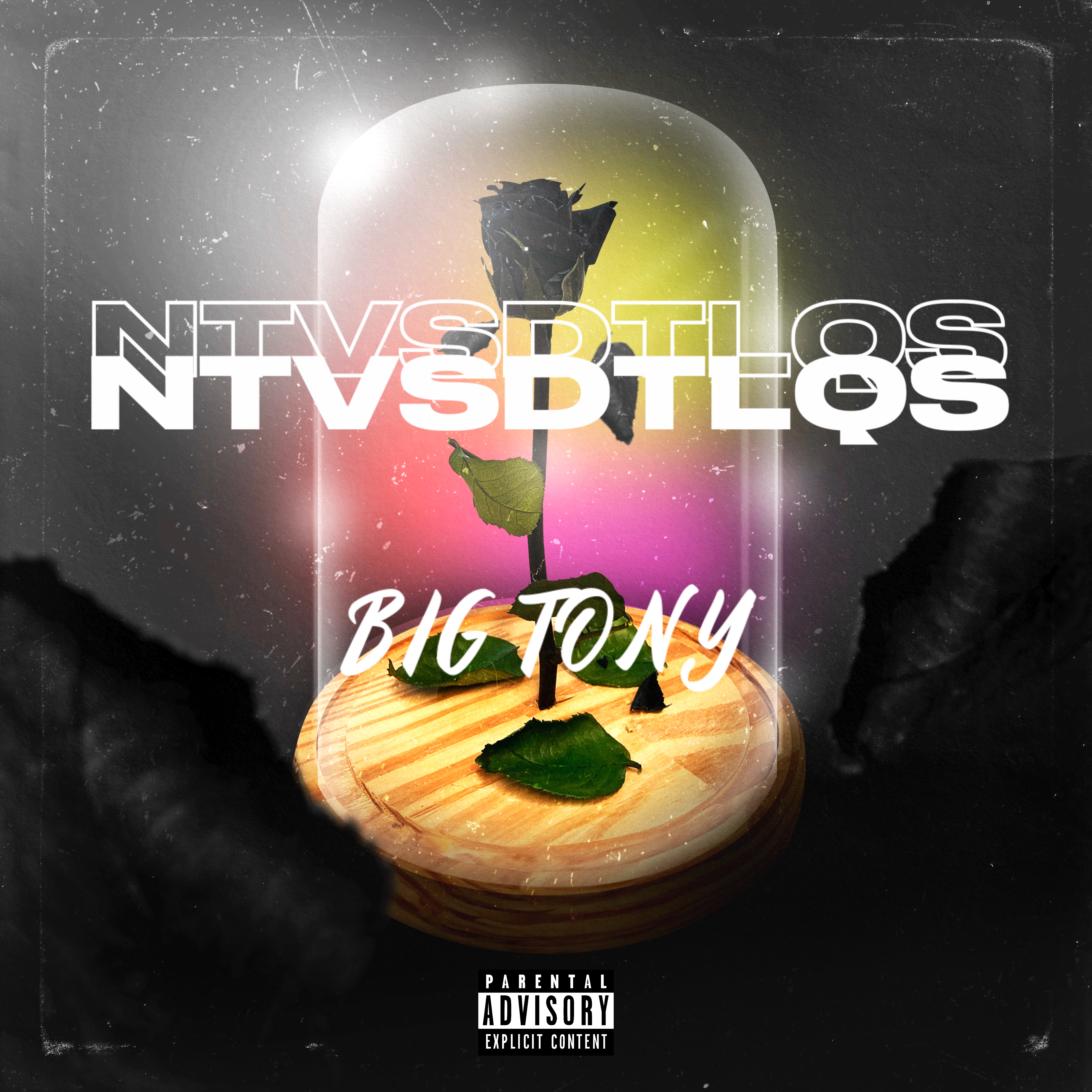 NTVSDTLQS artwork