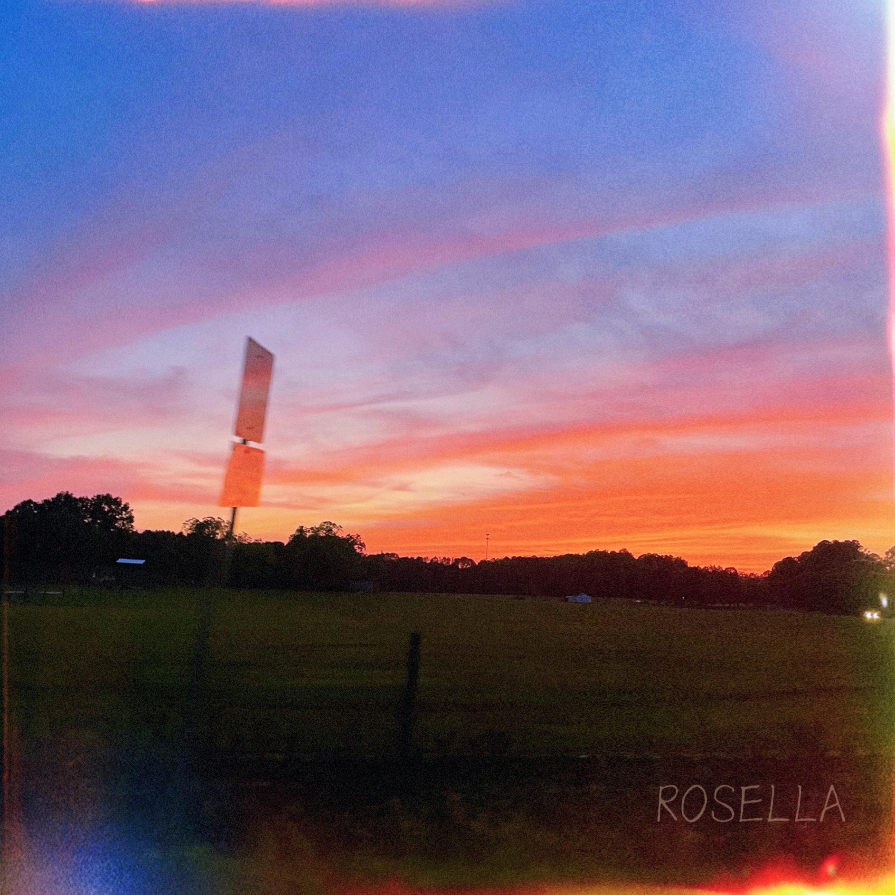 ROSELLA by MoVilla
