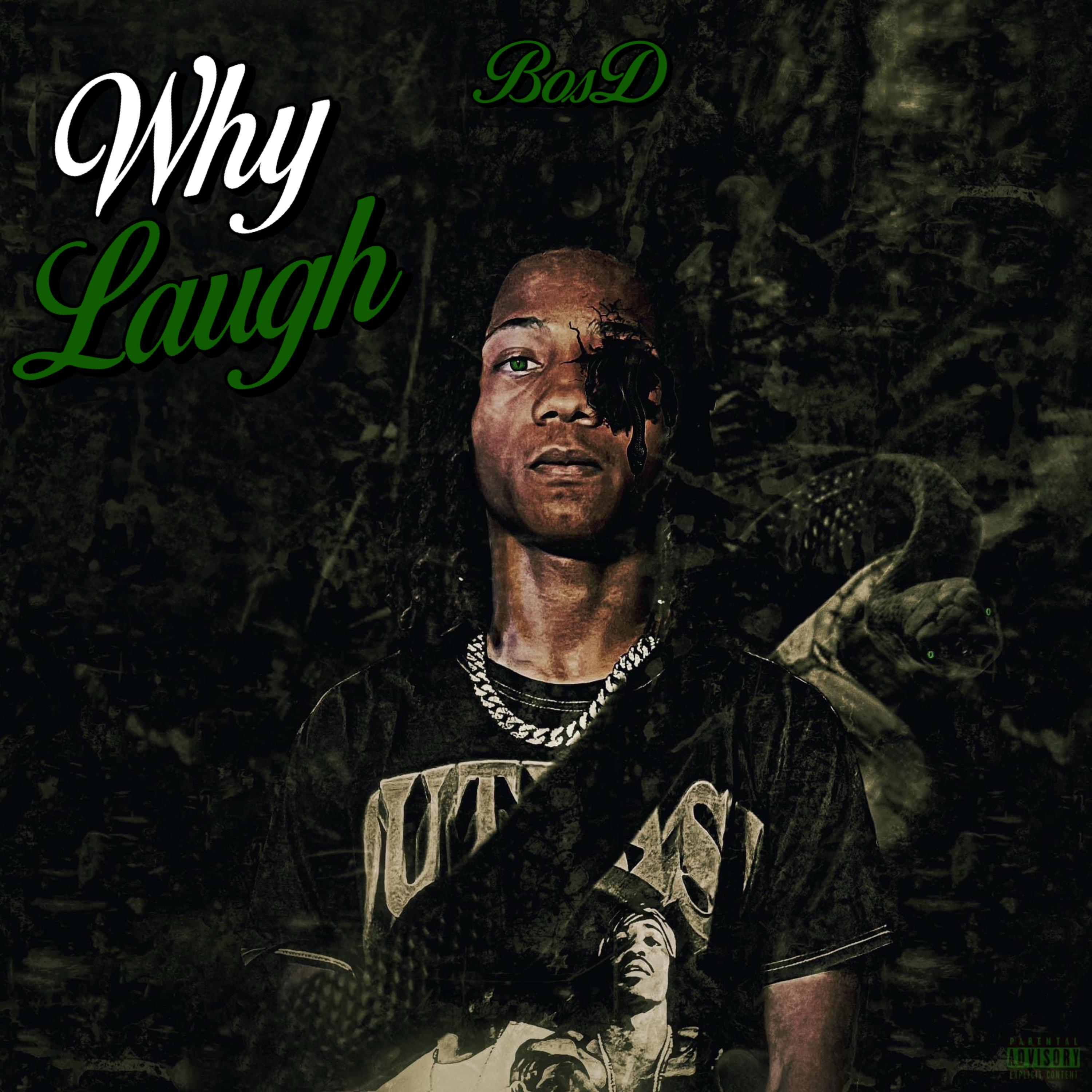 Why Laugh artwork