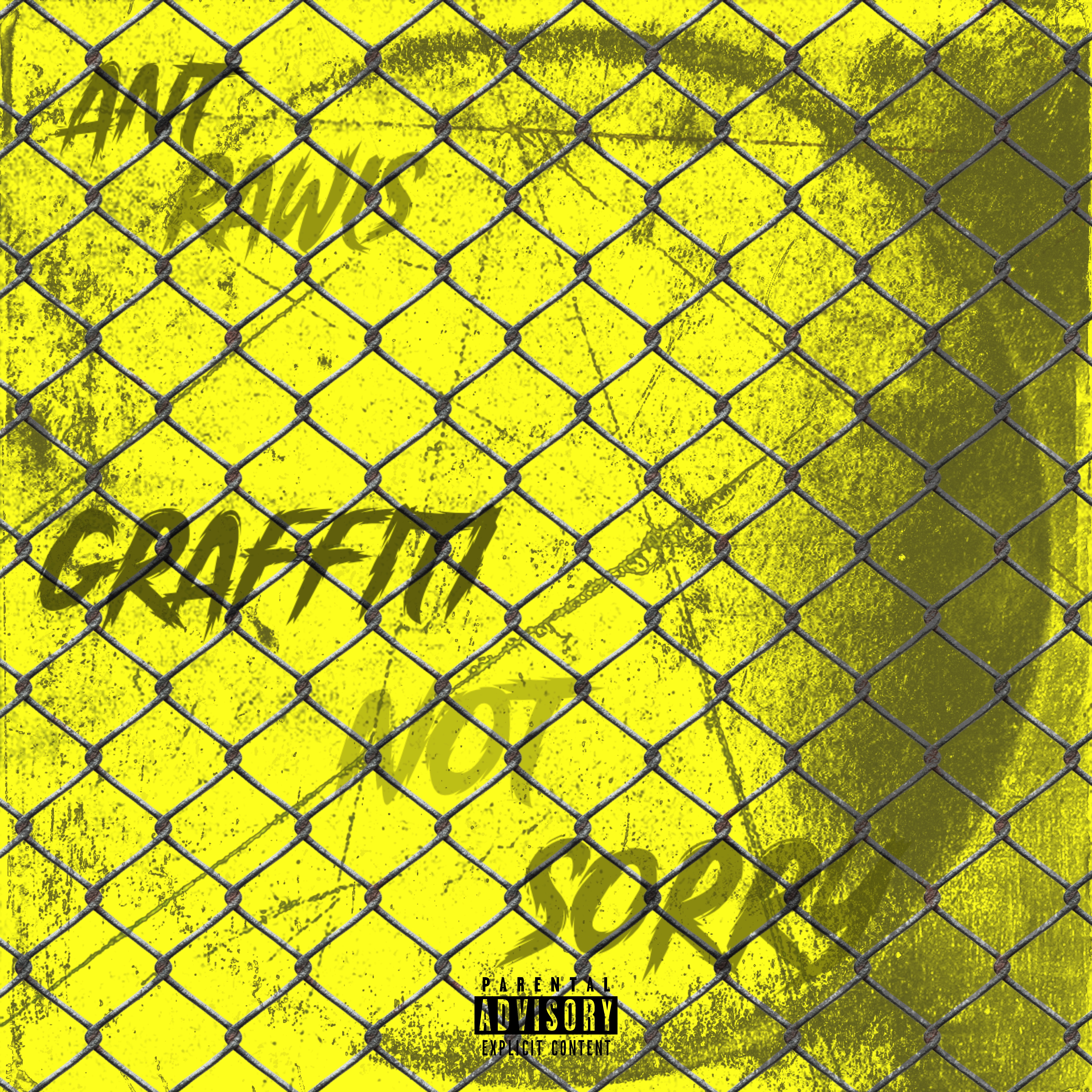 Graffiti Not Sorry  artwork