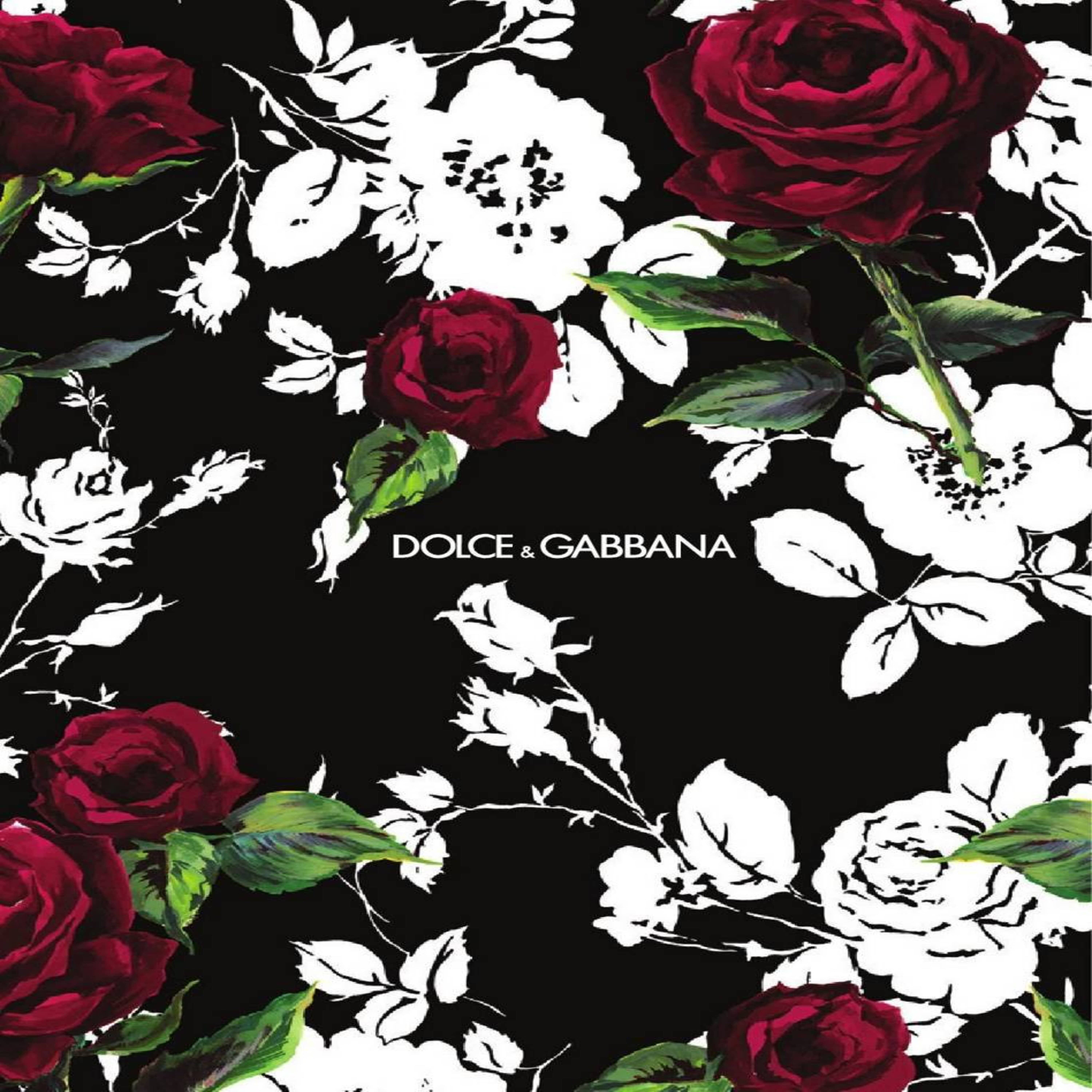 Dolce & Gabbana artwork