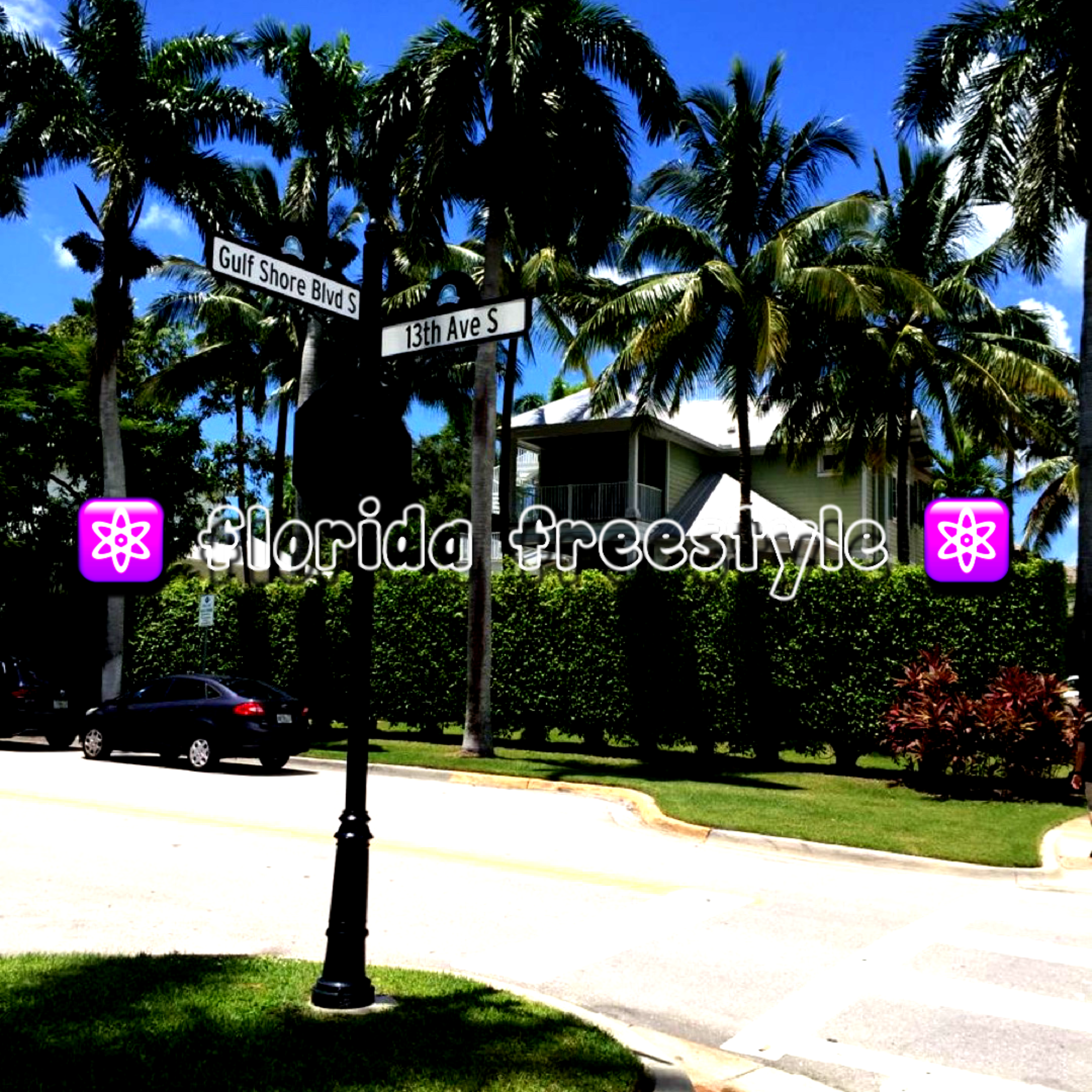 Florida Freestyle artwork