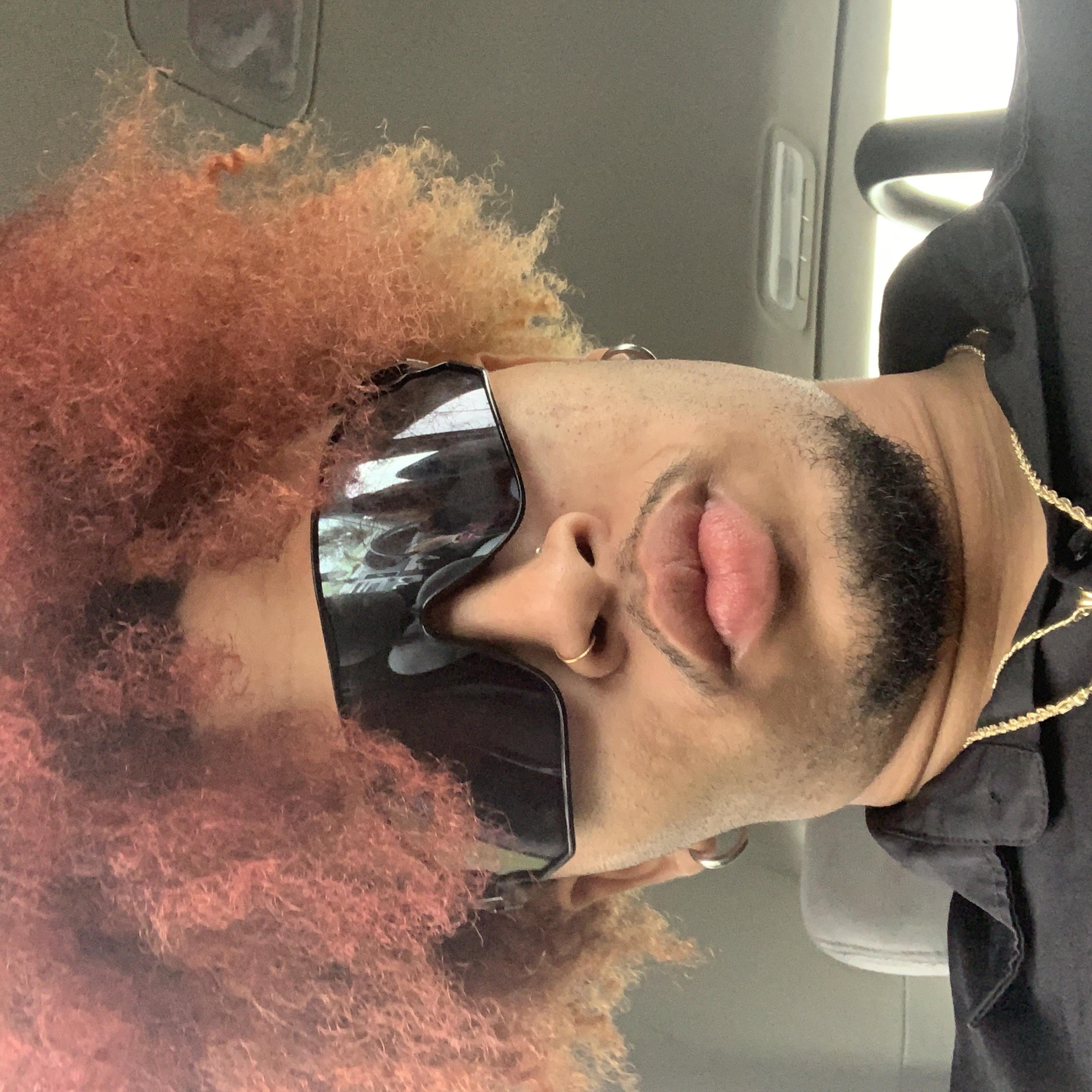 D.R Papilicous artwork