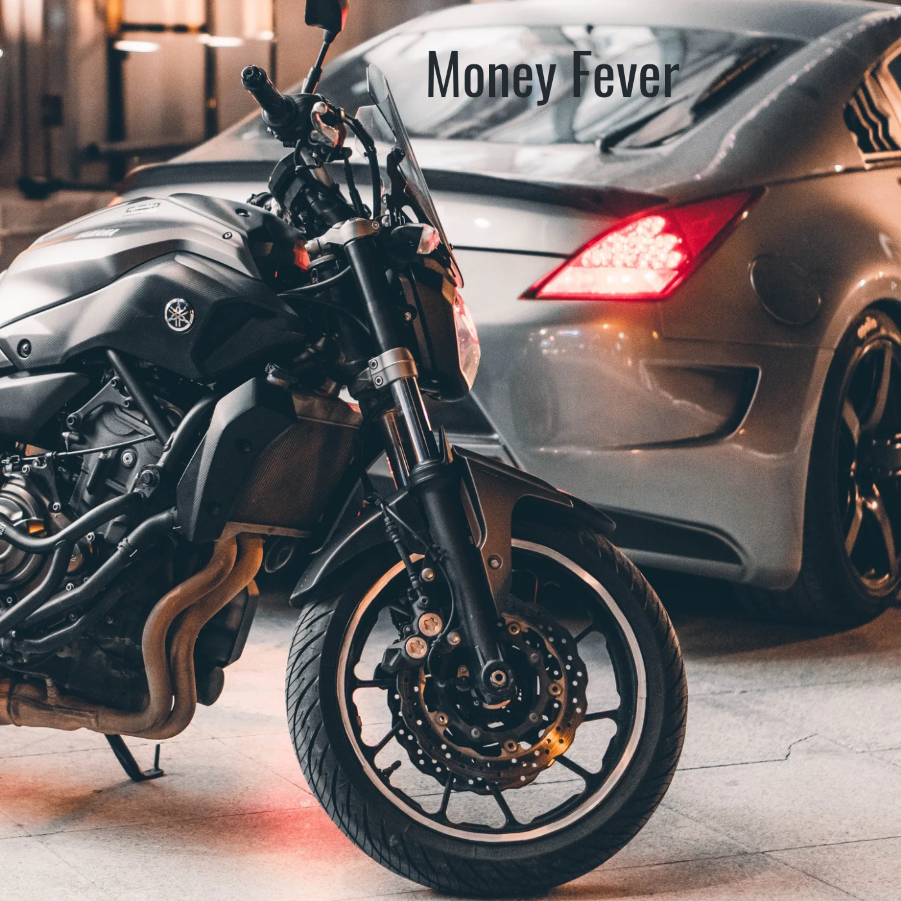 Money Fever artwork