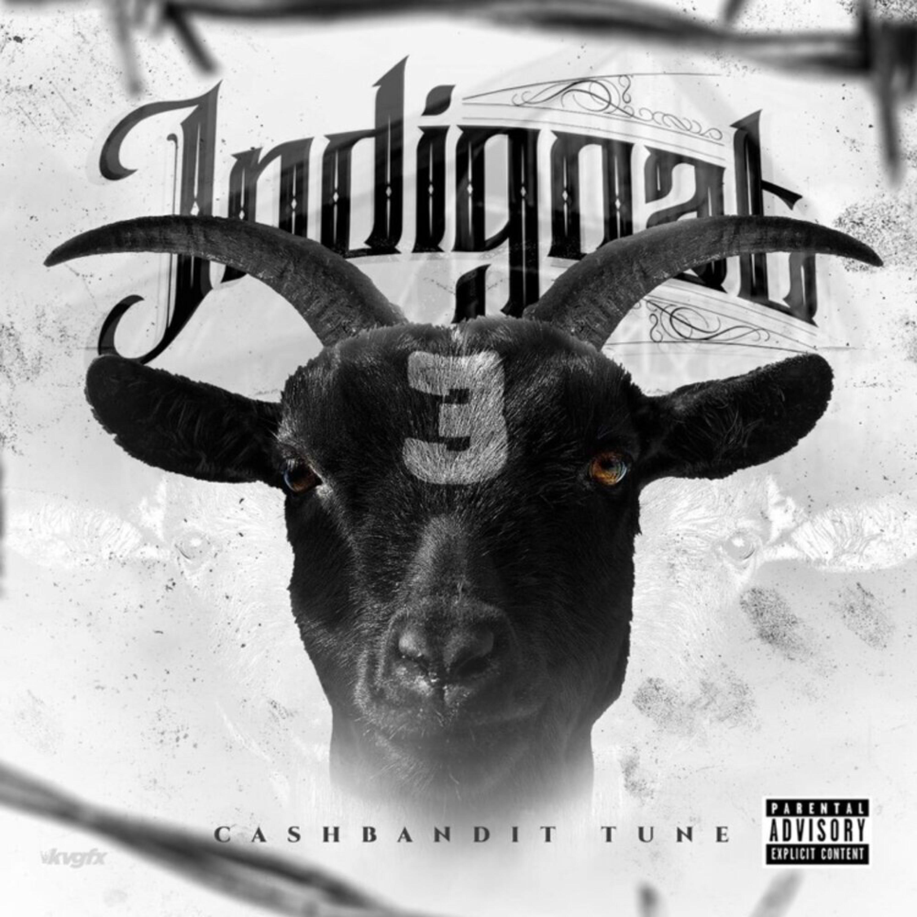 Indigoat 3 by CashBandit Tune cover art