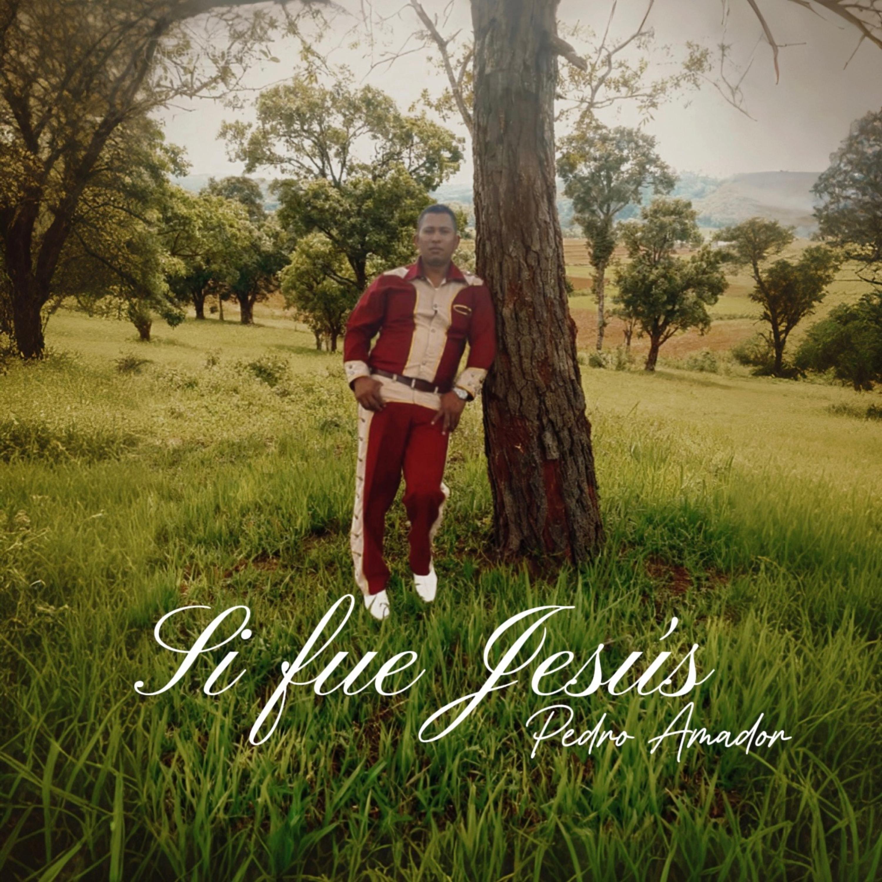 Si Fue Jesus artwork