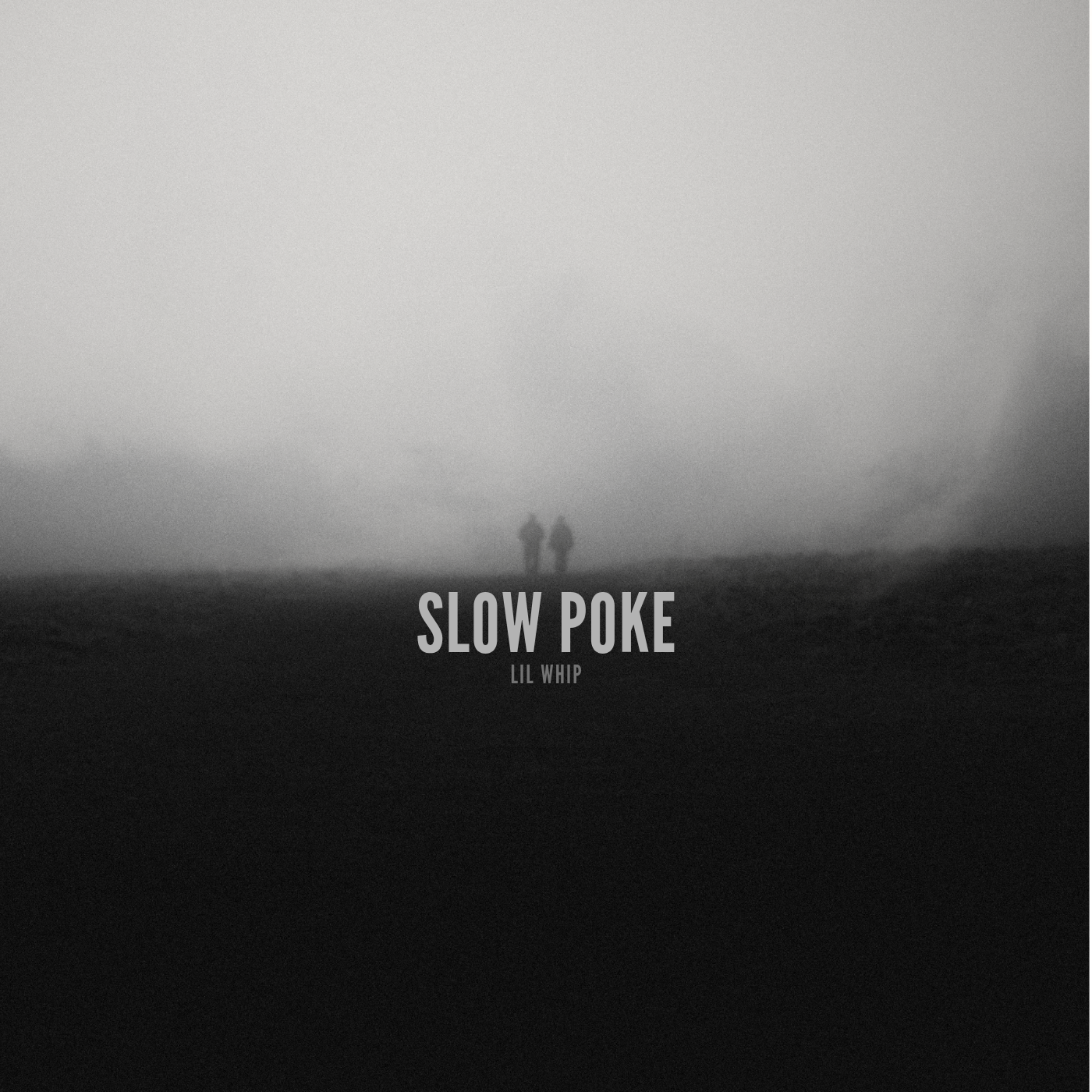 Slow Poke artwork