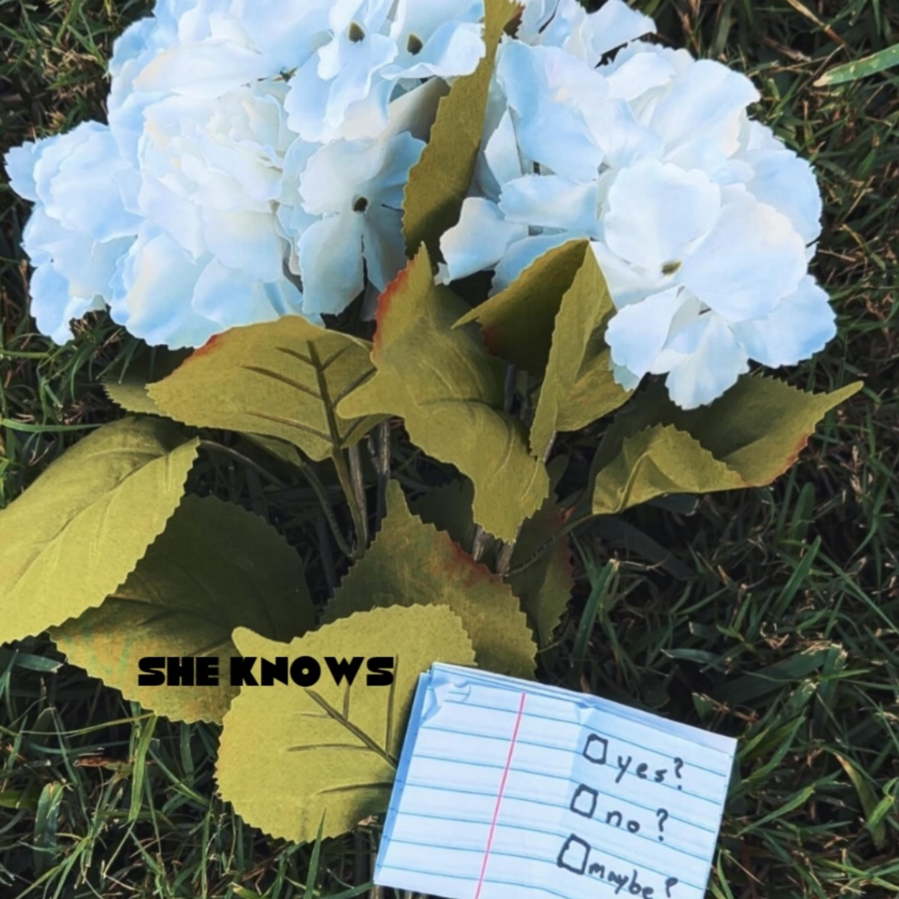 SHE KNOWS artwork