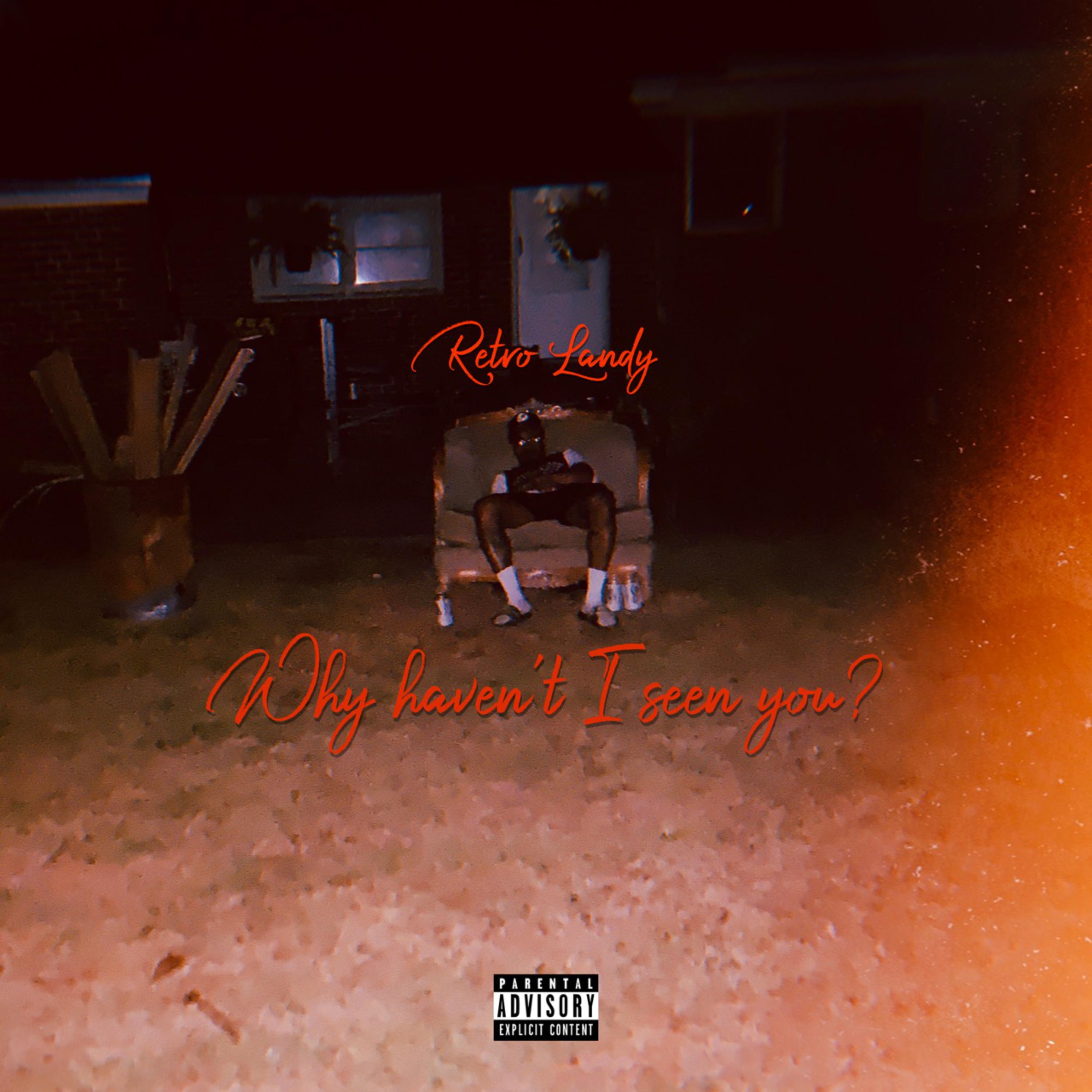 Why Haven't I Seen You? by Retro Landy cover art