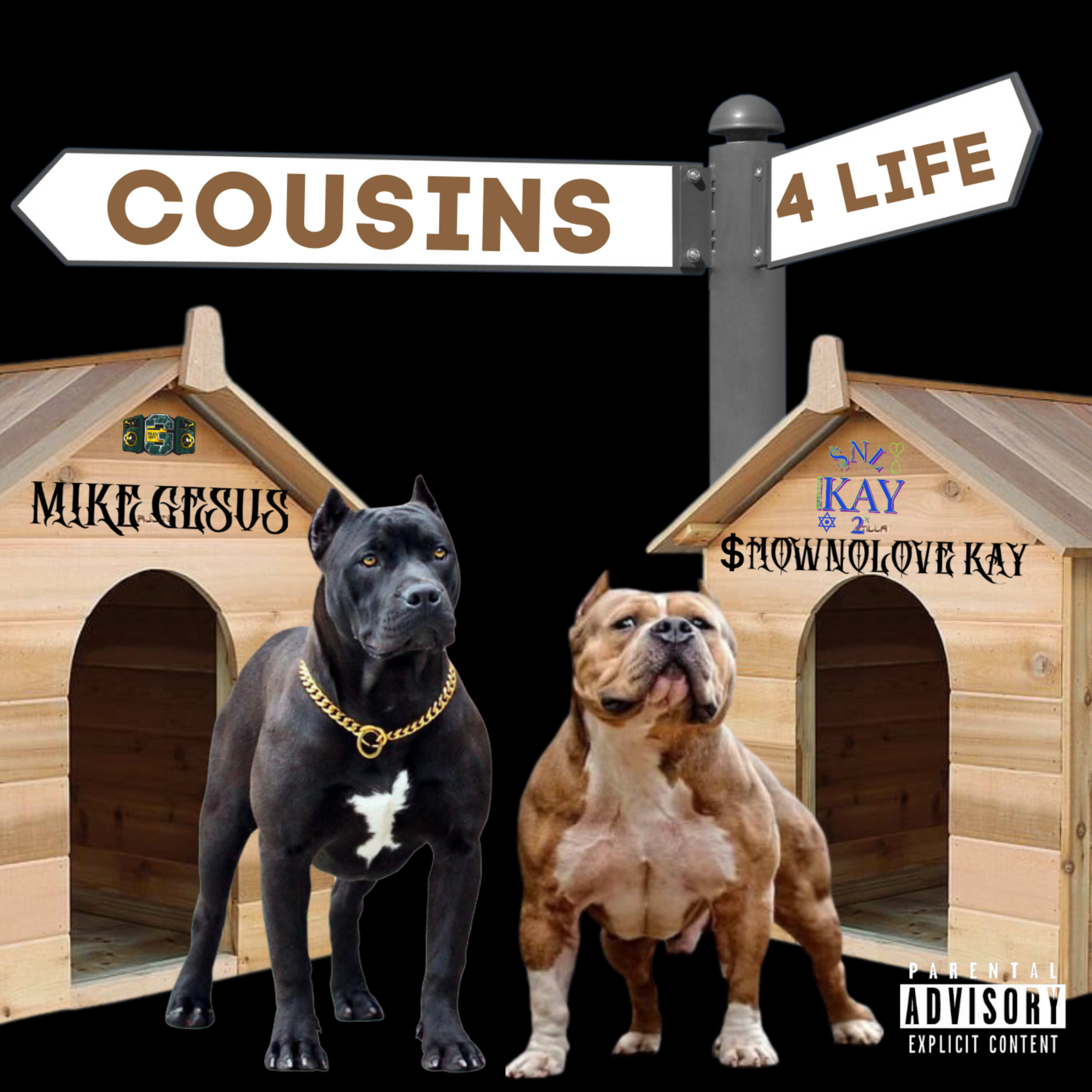 COUSINS 4 LIFE artwork