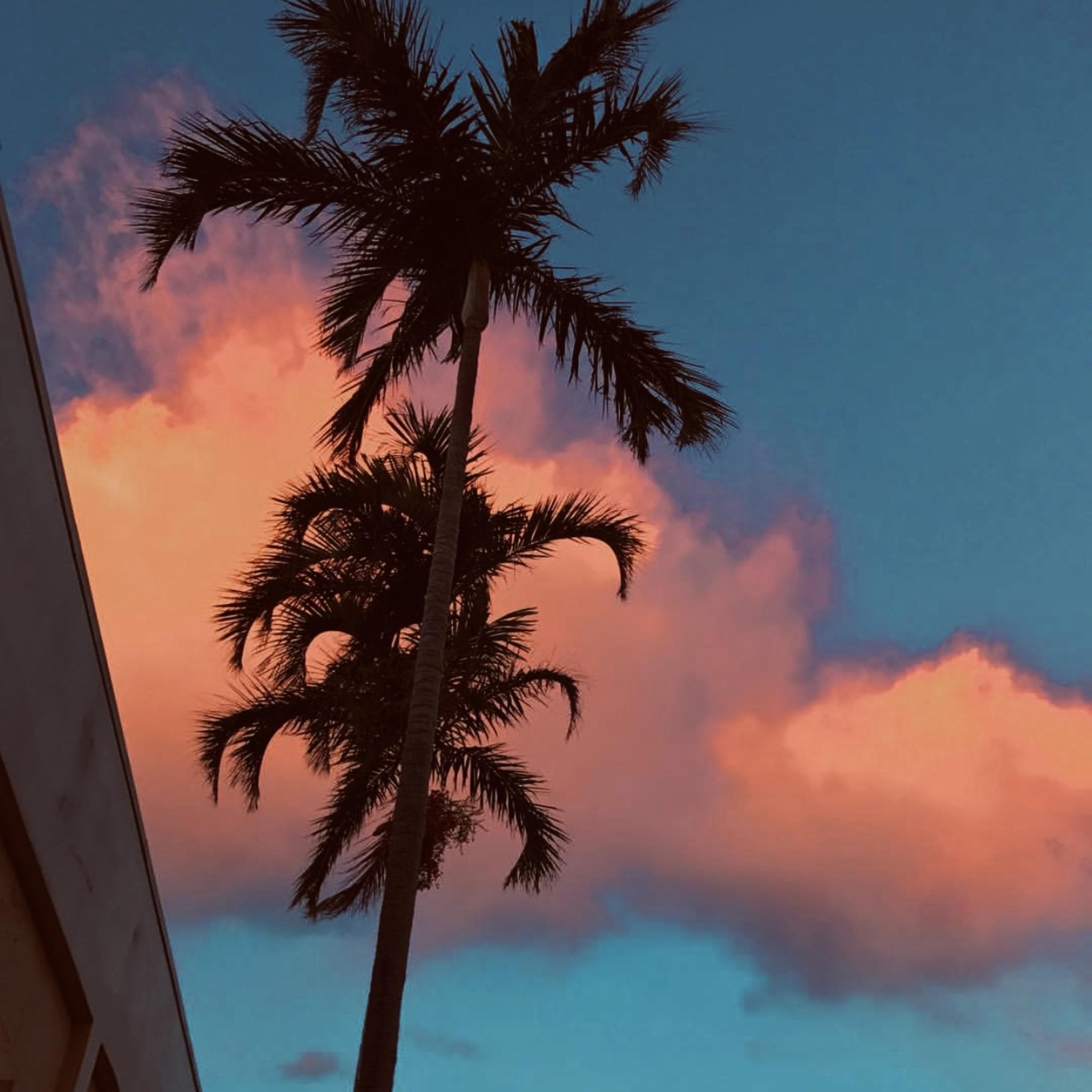1am In Sunrise artwork