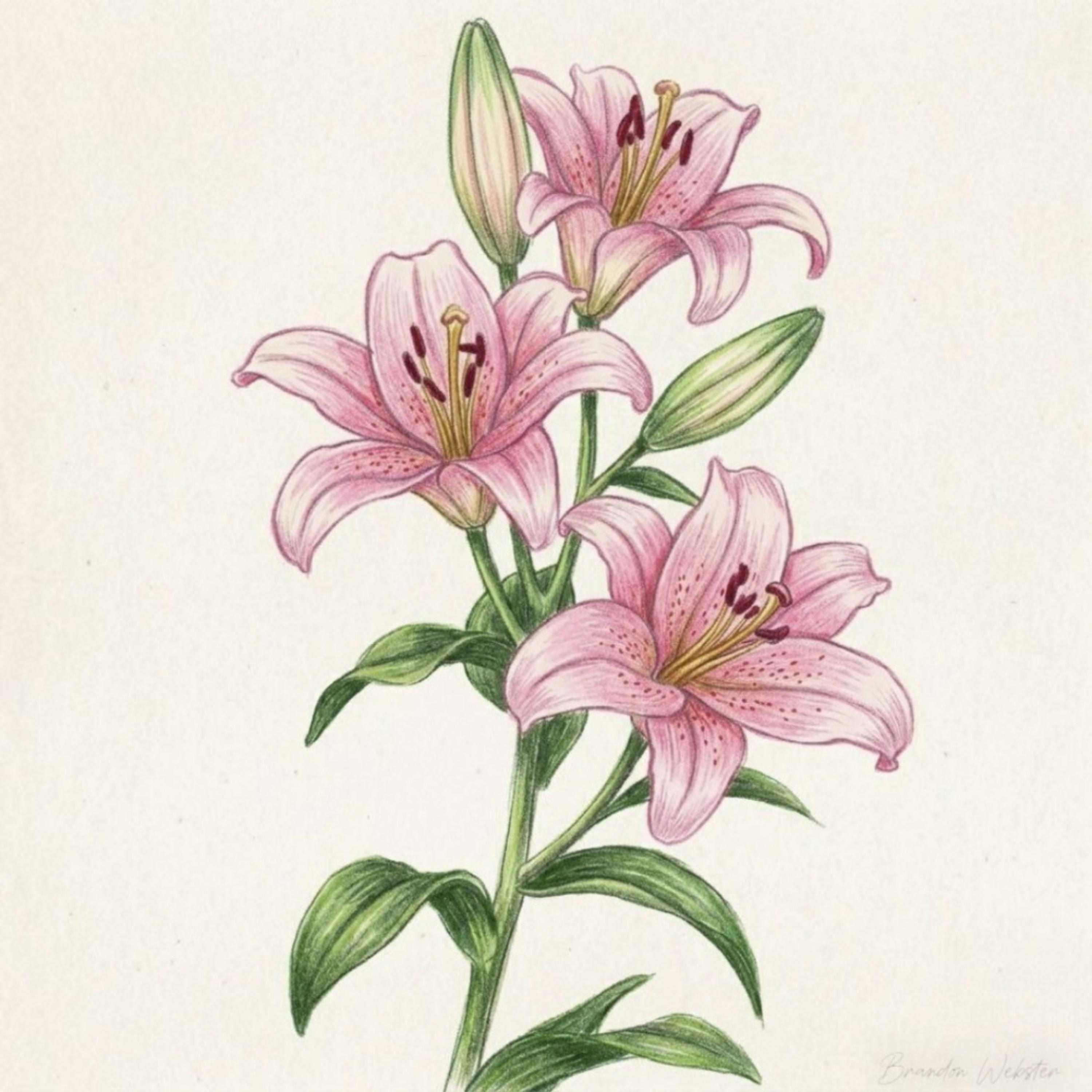 lilies artwork