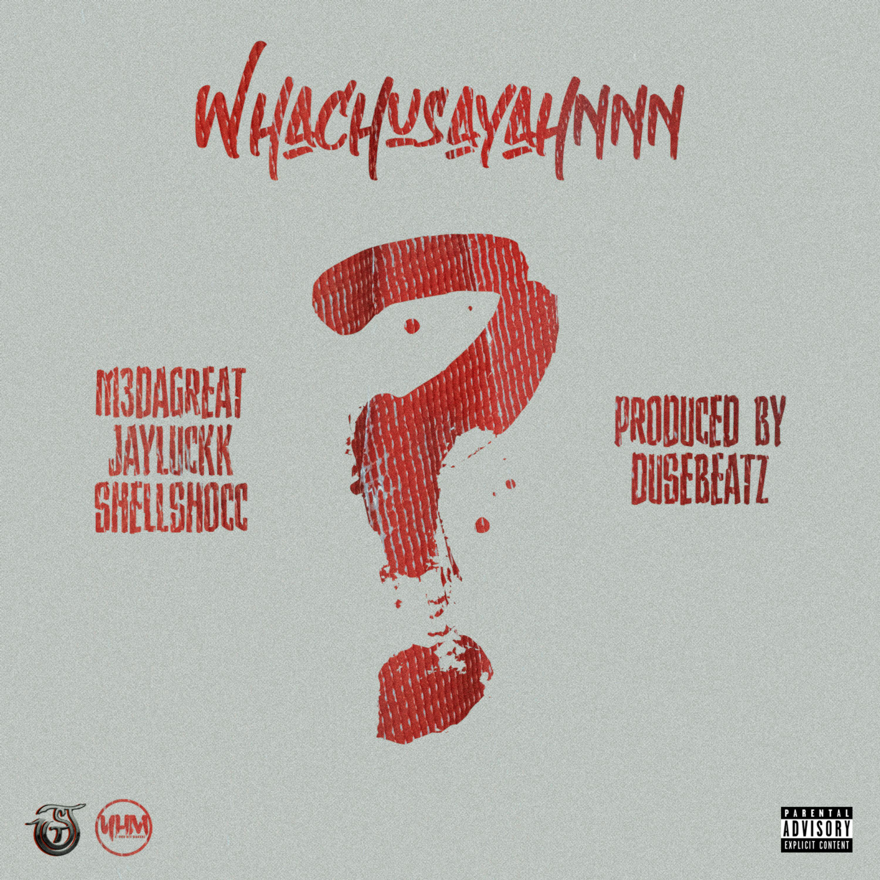 Whachusayahnnn artwork