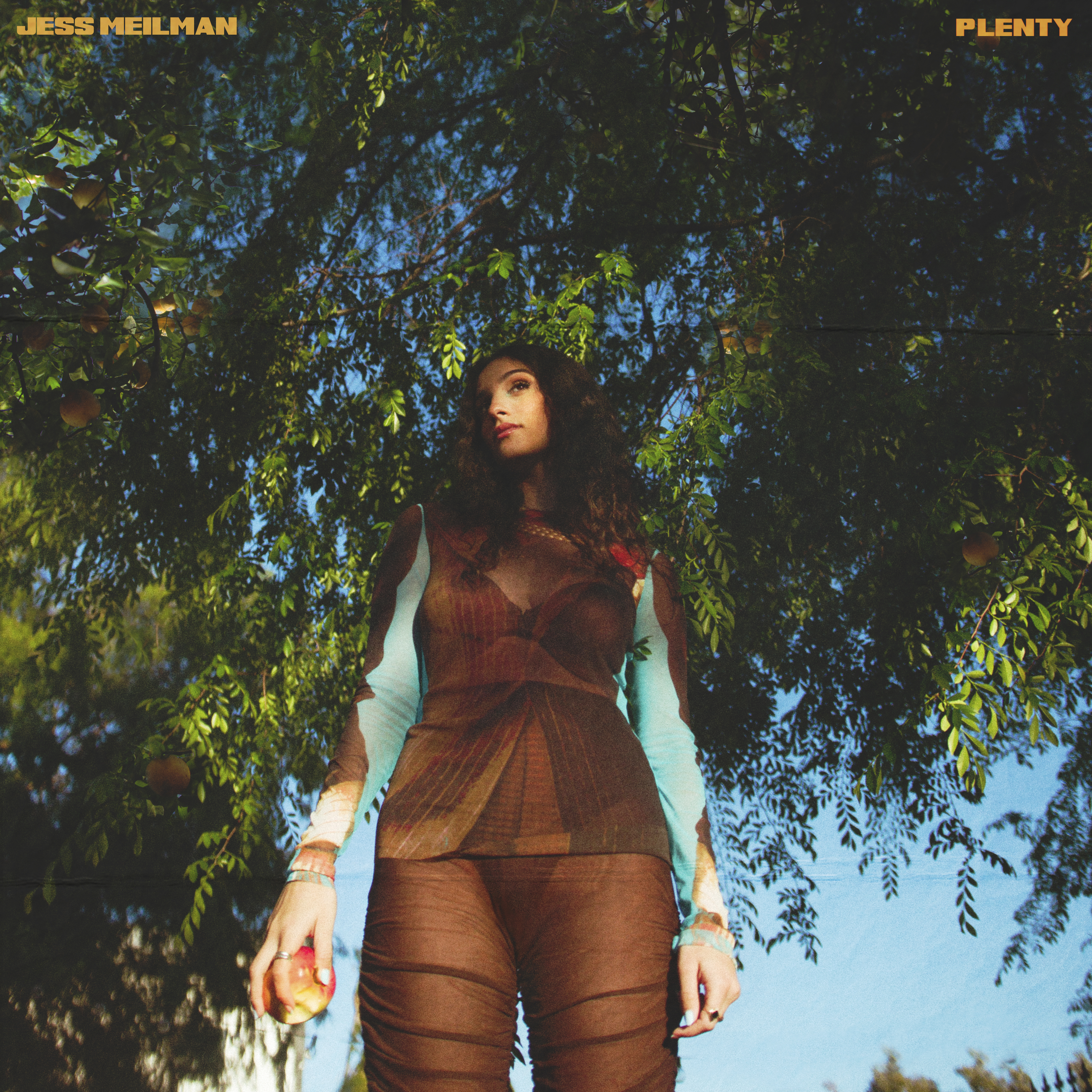 Plenty (Instrumental) artwork