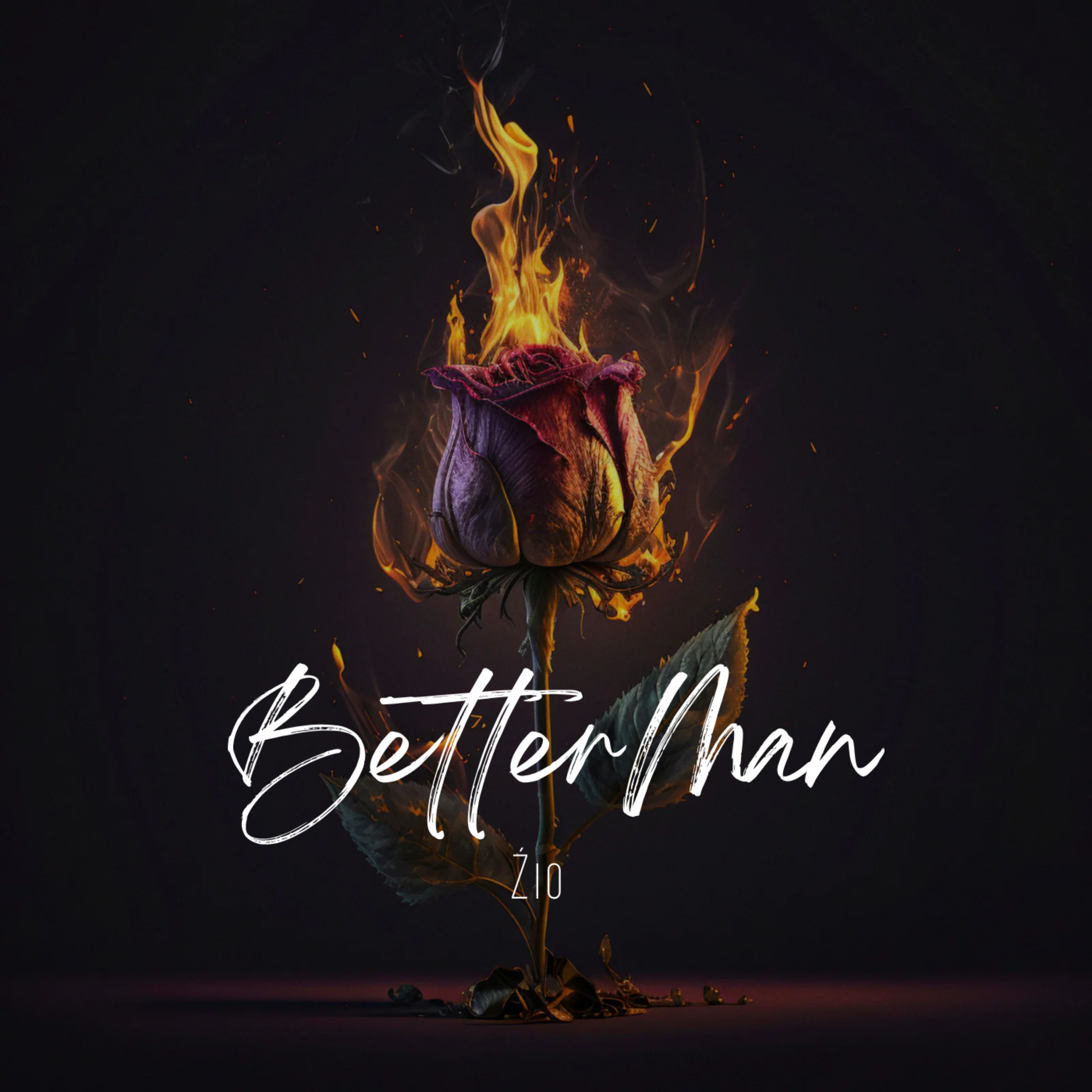 Better Man artwork