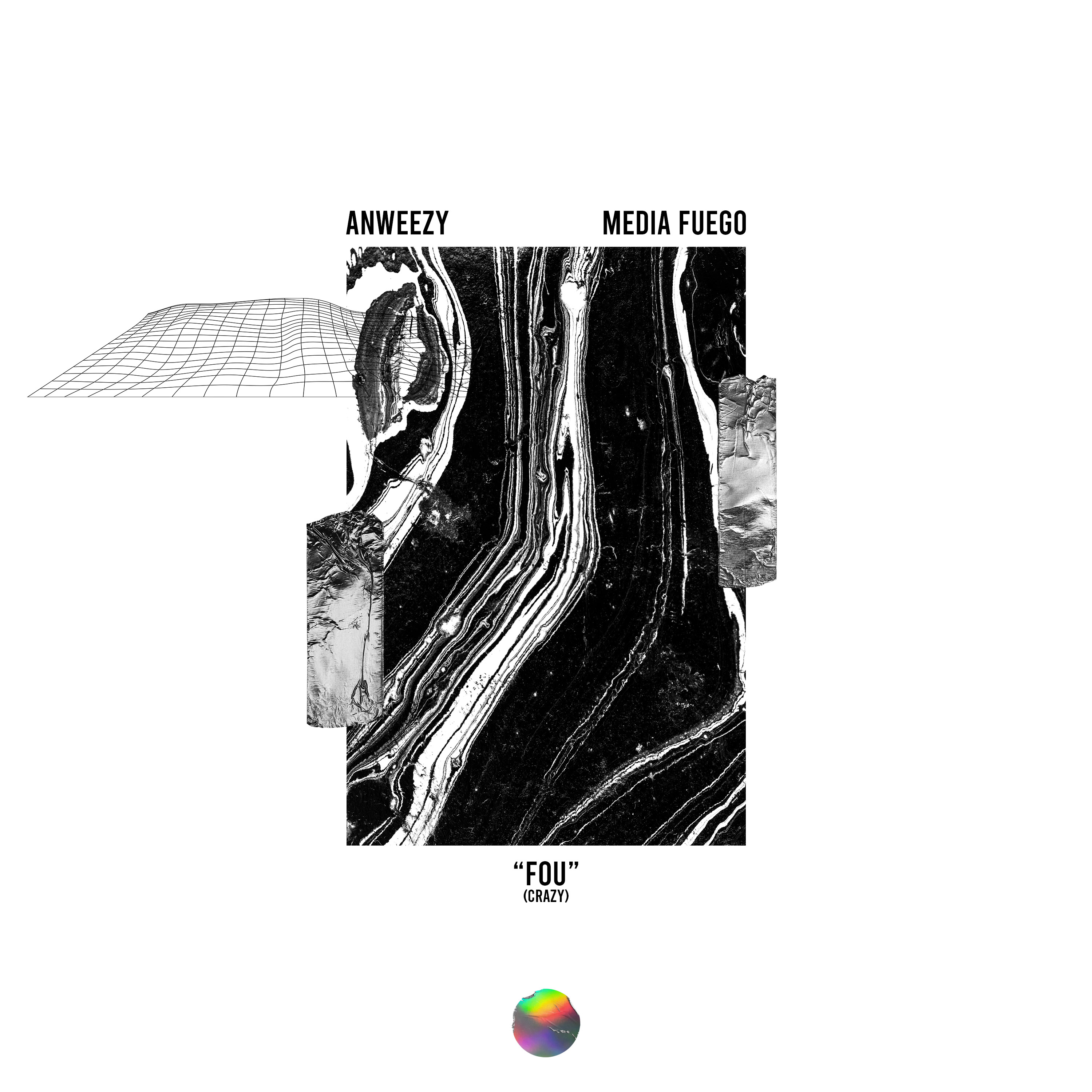 Fou (Crazy) by Anweezy cover art
