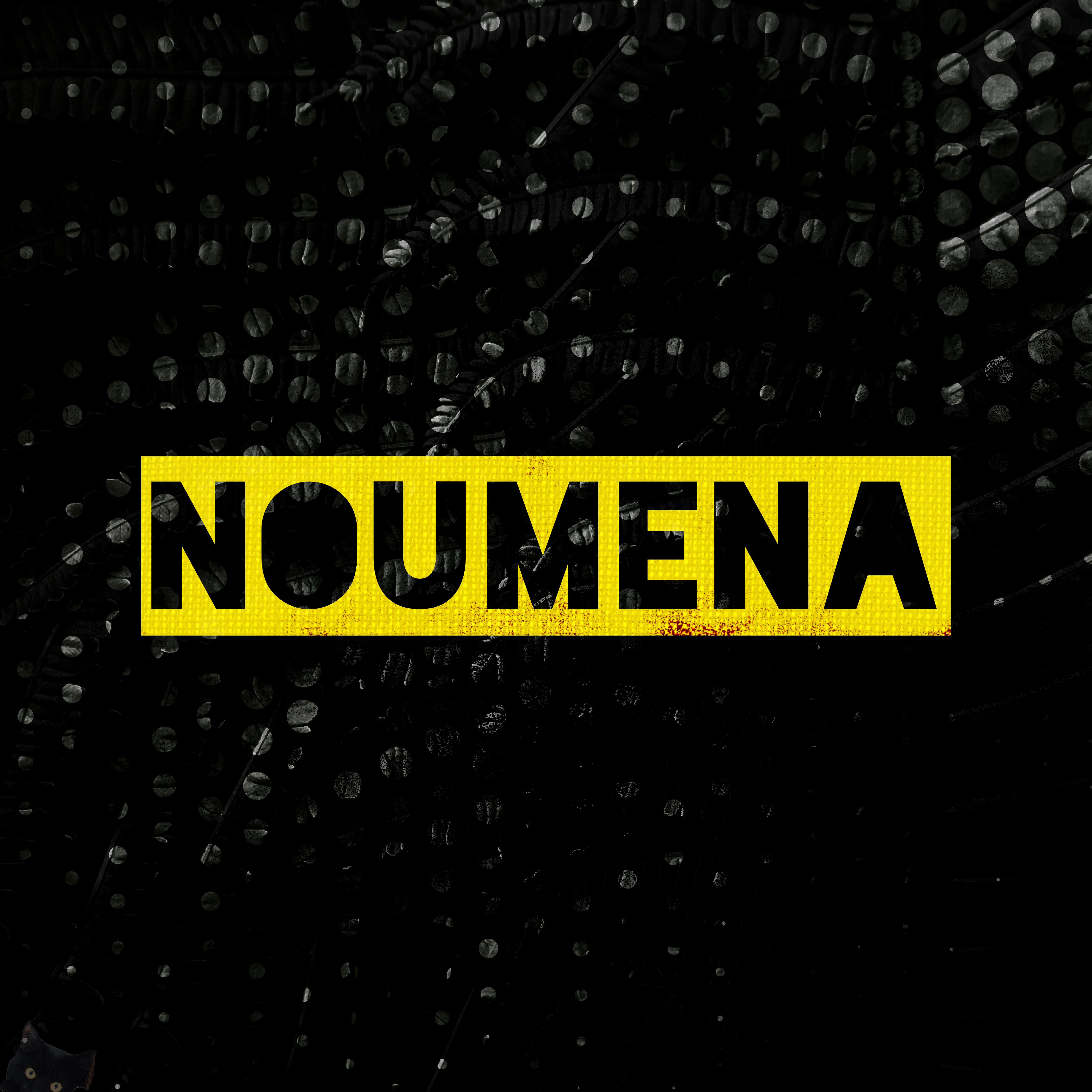 Noumena (wet and slow) artwork