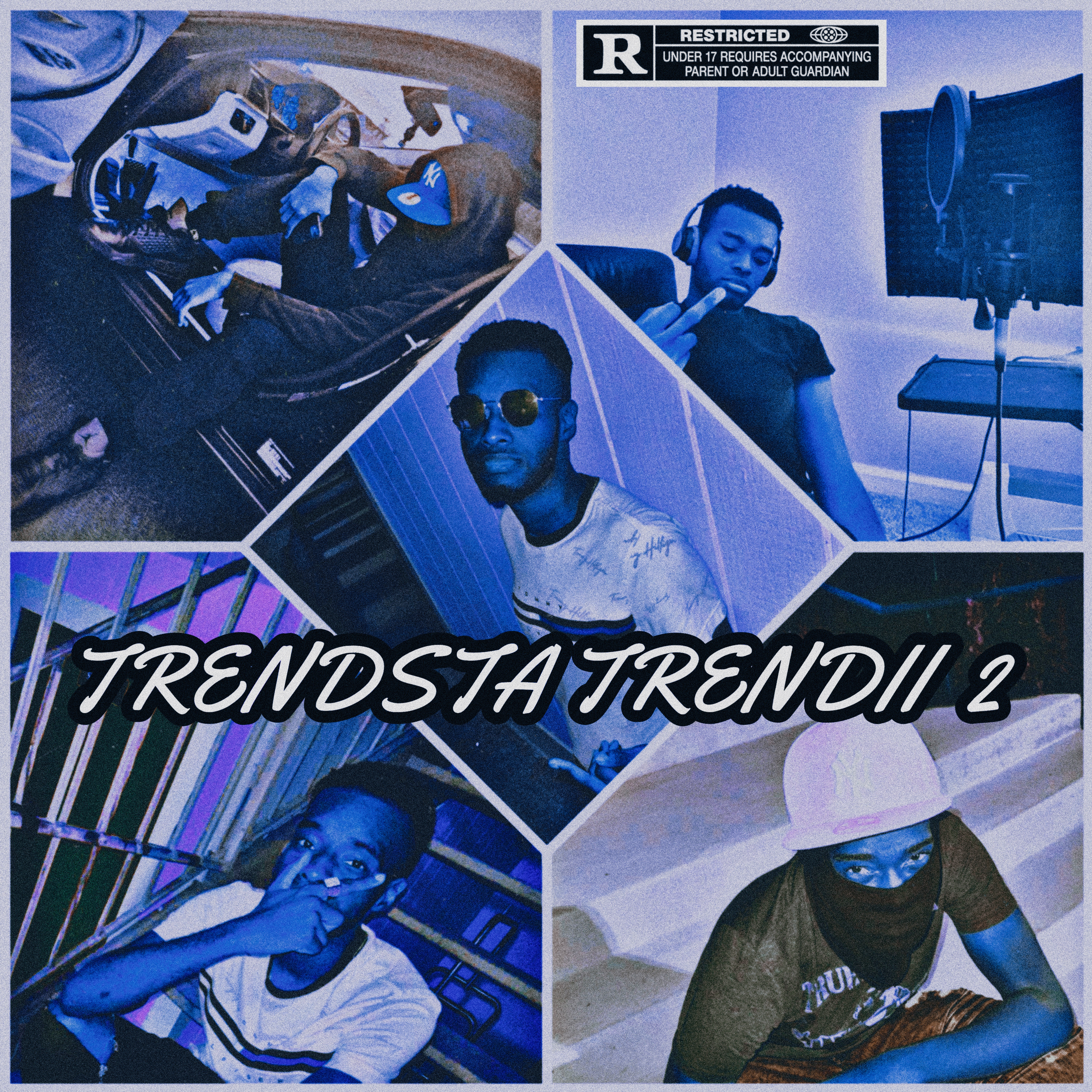 Trendsta Trendii 2 artwork