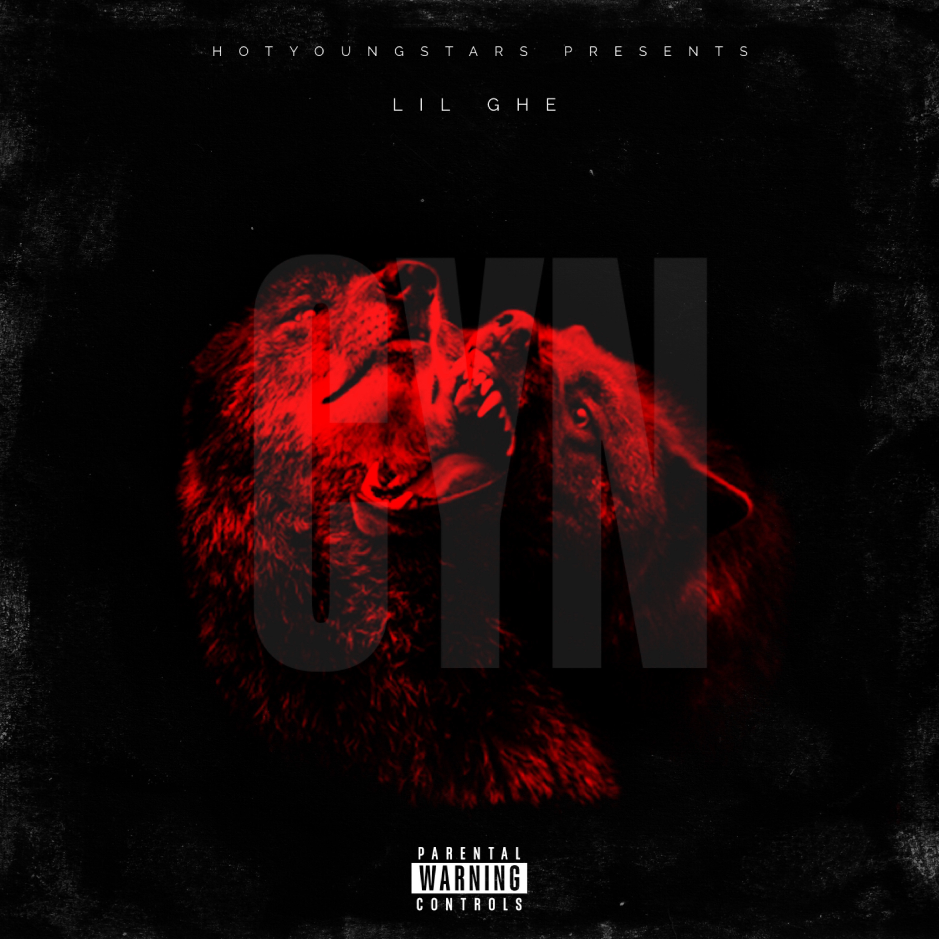 CYN artwork