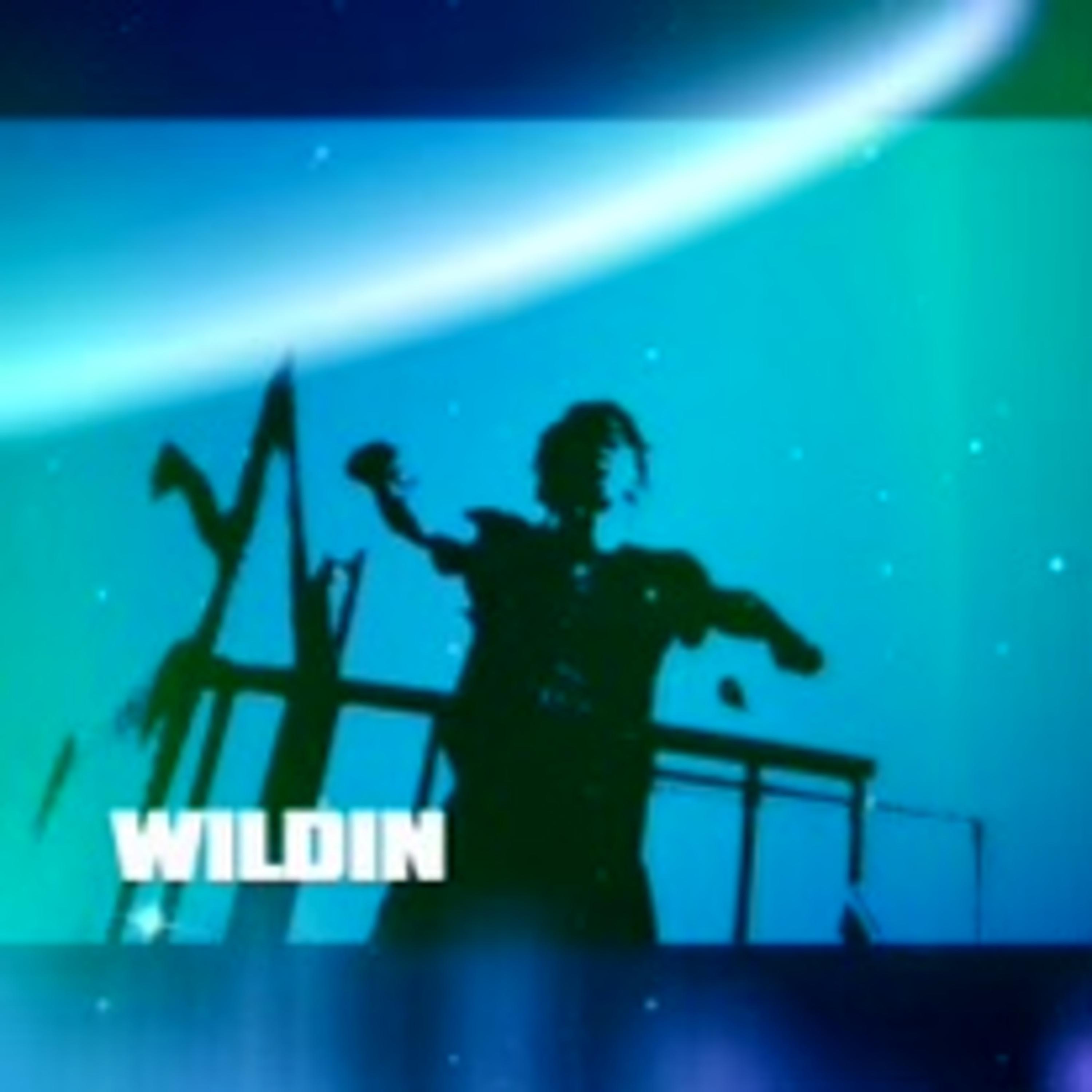 Wildin artwork