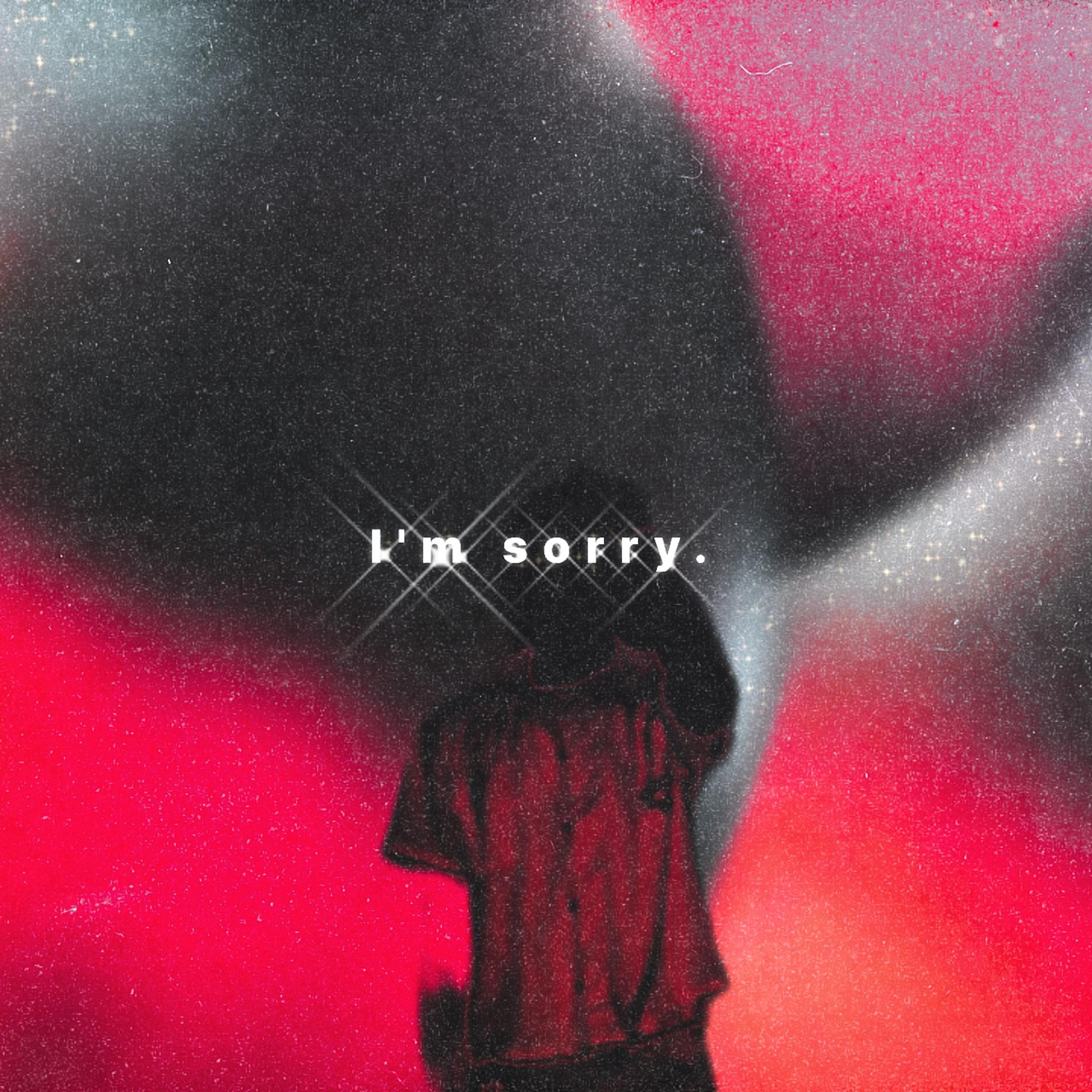 I’M SORRY. artwork