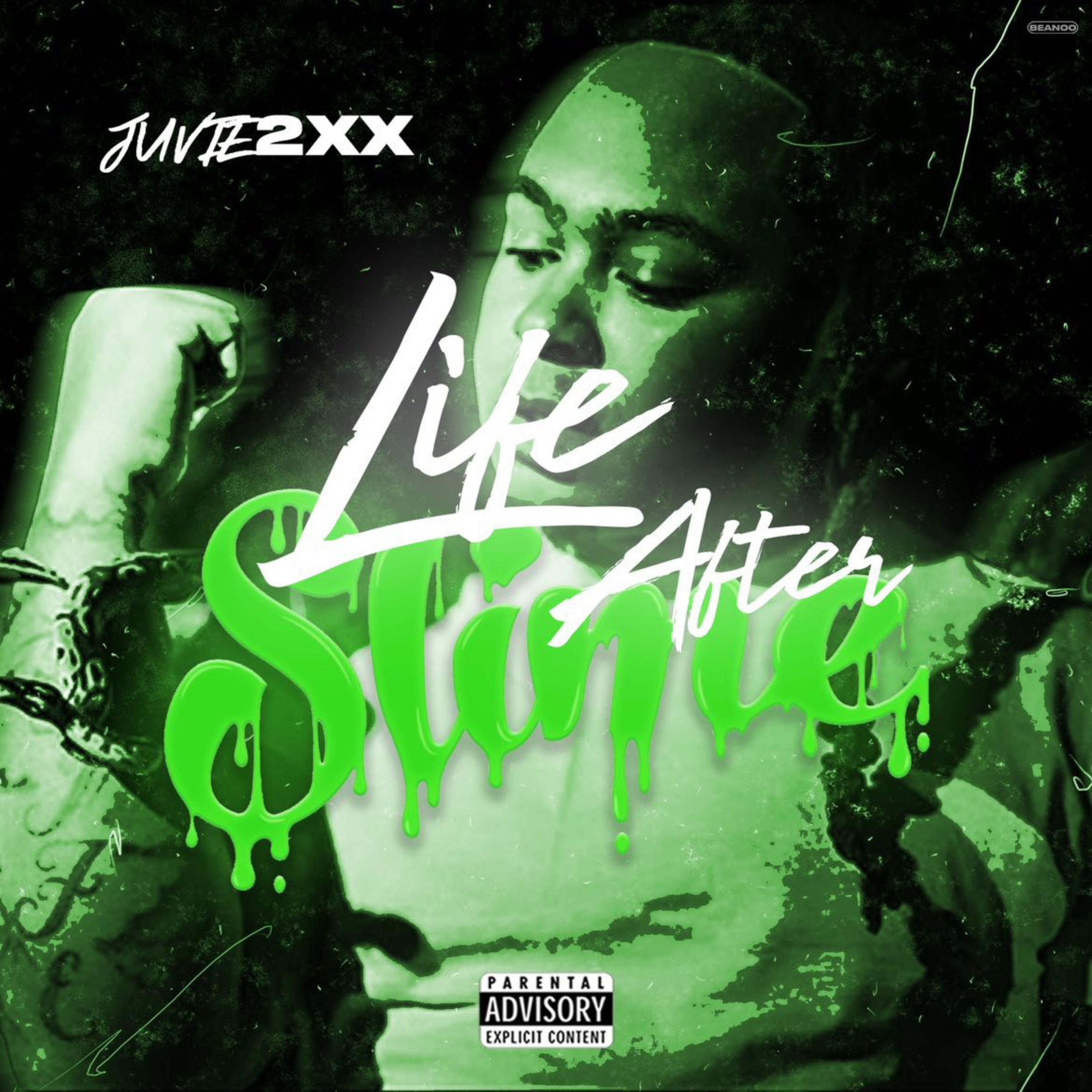 Life After Slime by Juvie2xx cover art