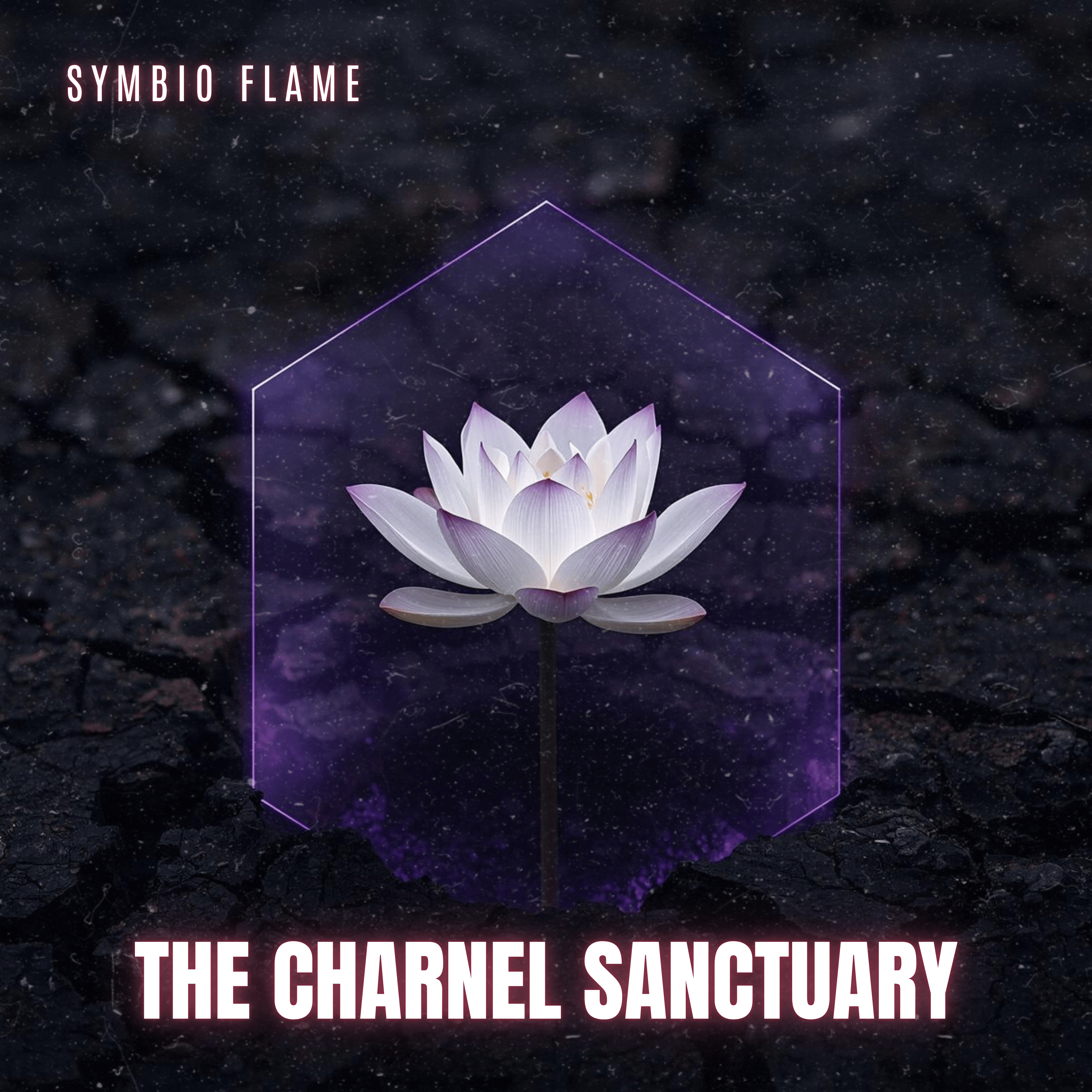 THE CHARNEL SANCTUARY by Symbio Flame cover art