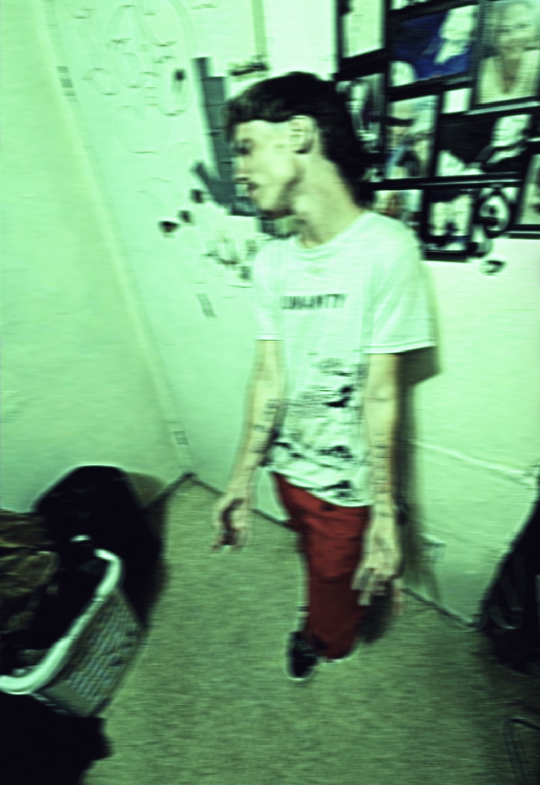 KRD Shaggy Smokez