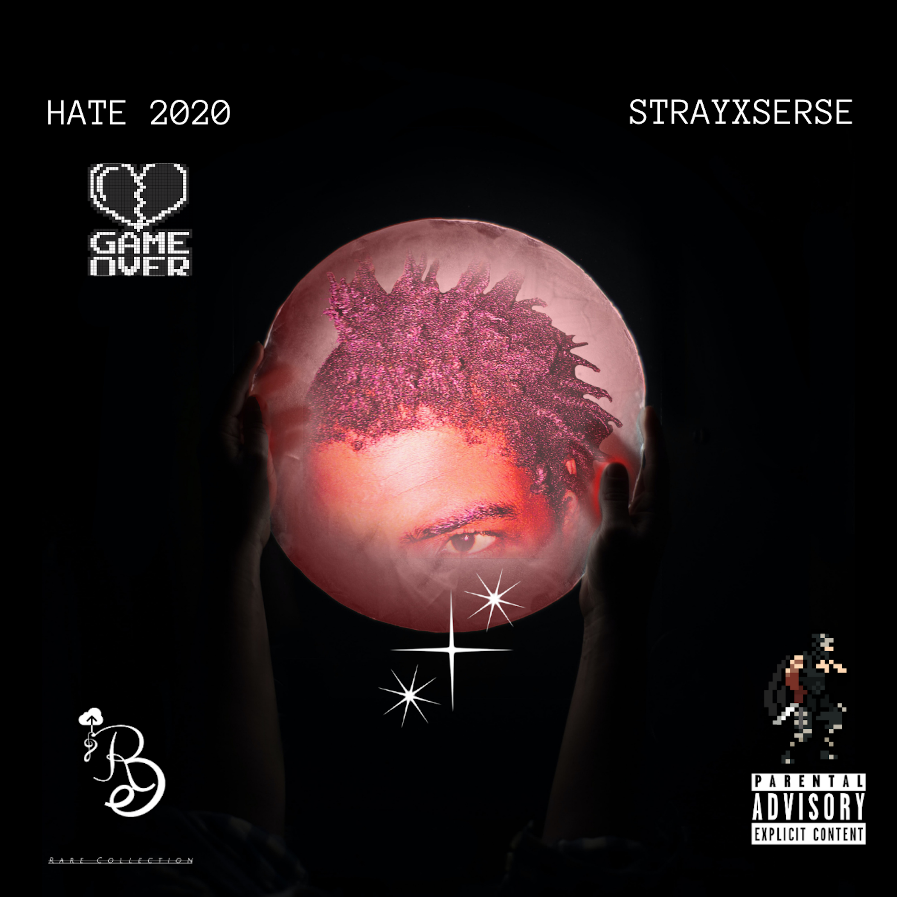 Hate 2020 by StrayXSerse cover art