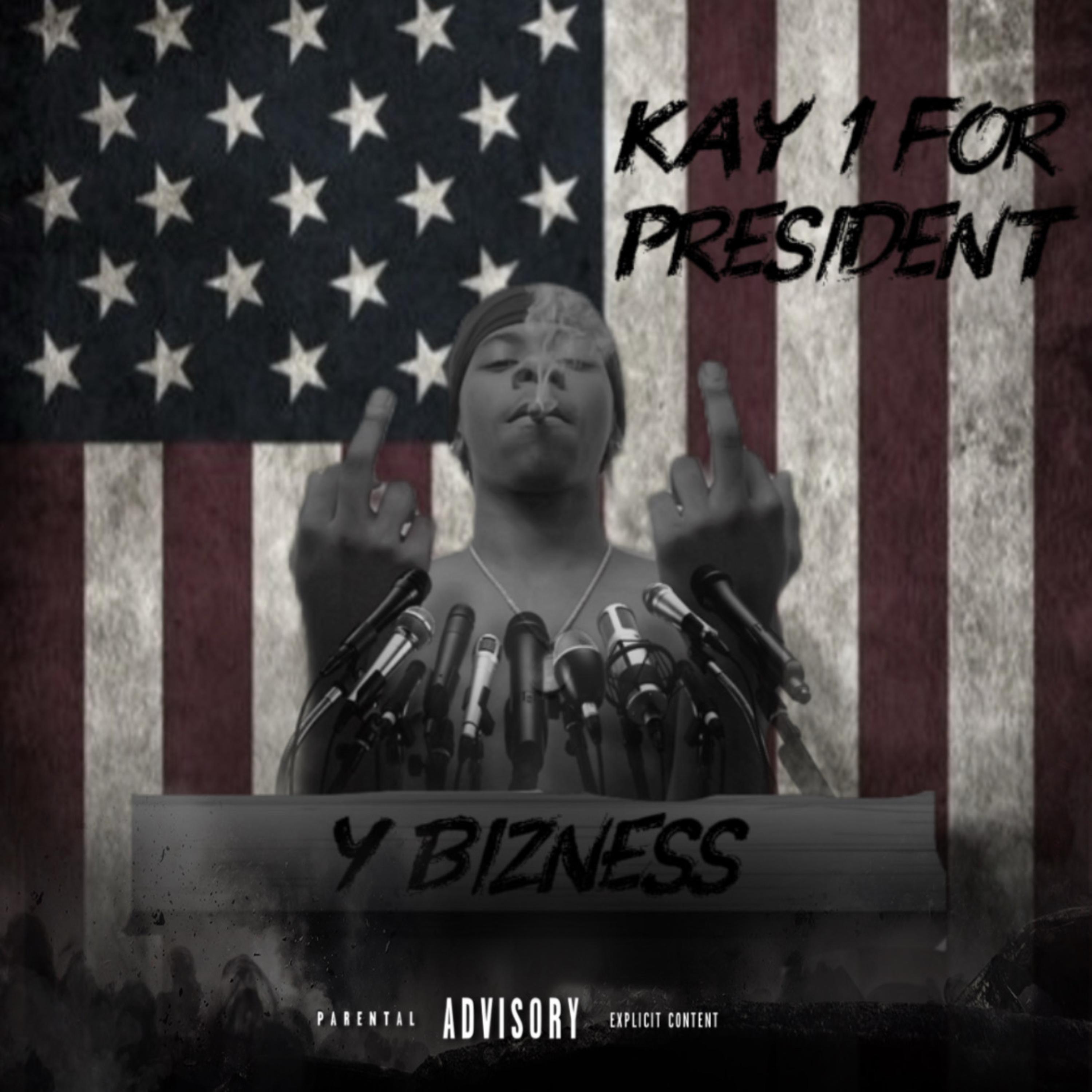 Kay1 For President artwork