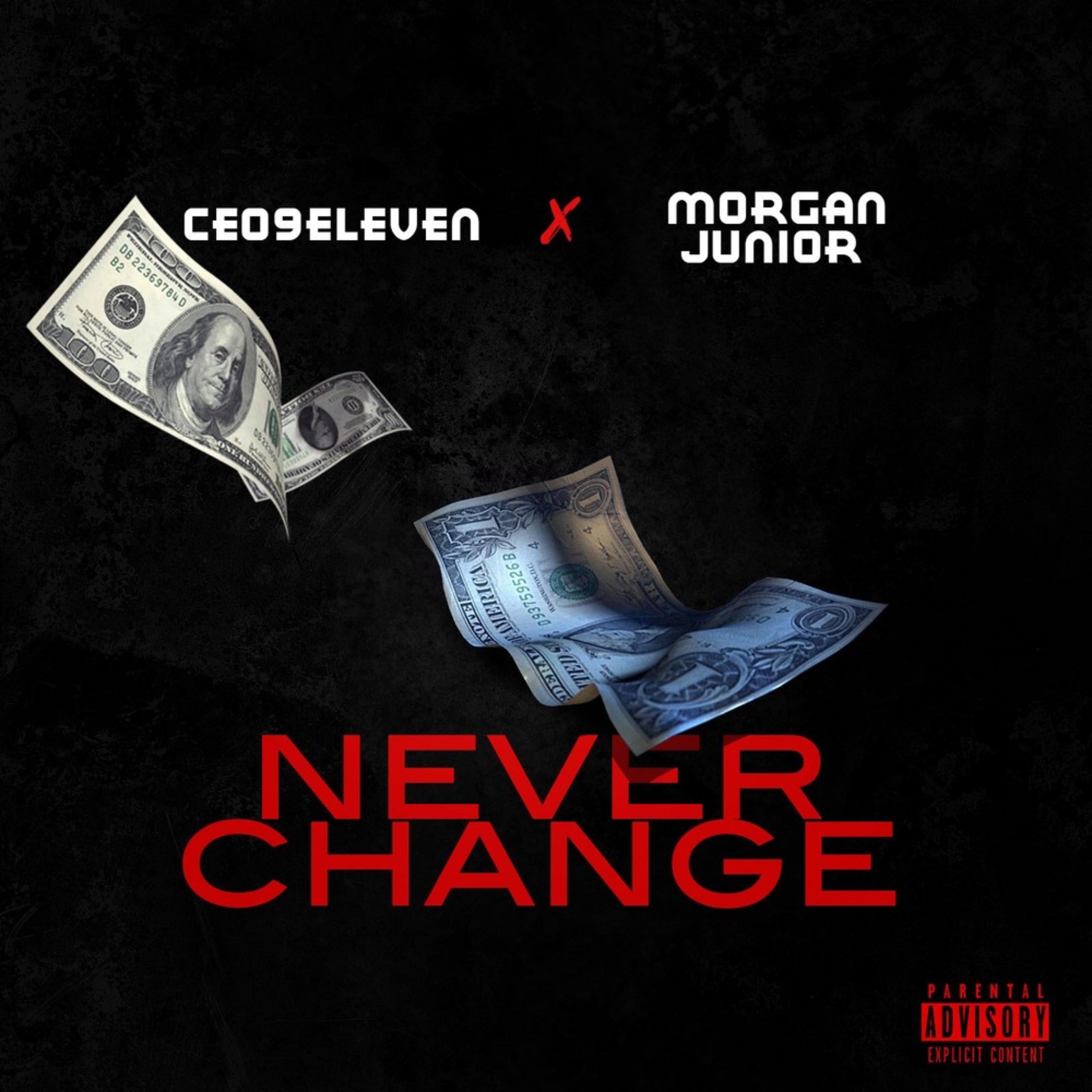 NEVER CHANGE artwork
