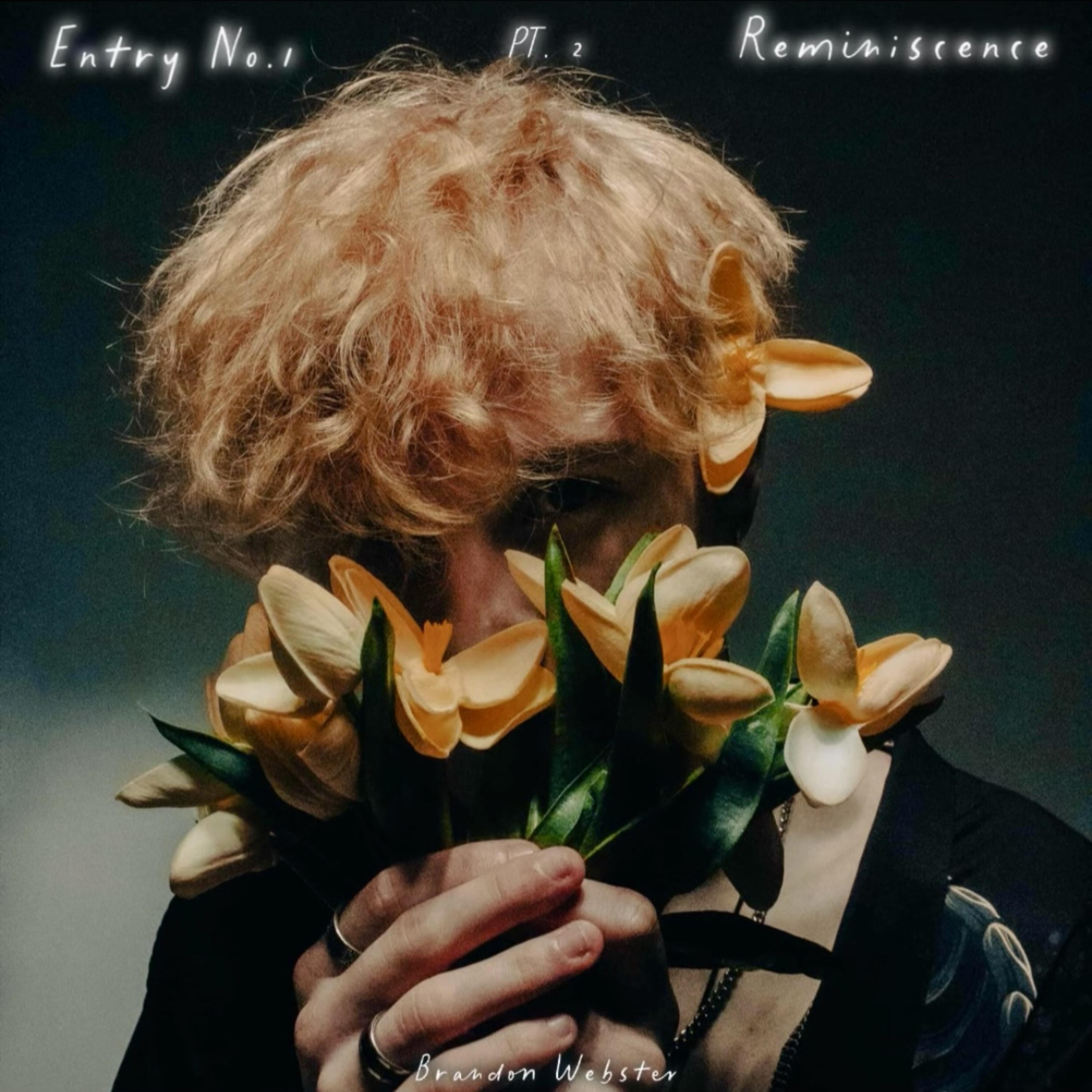 Entry No. 1: Reminiscence Pt. 2 artwork