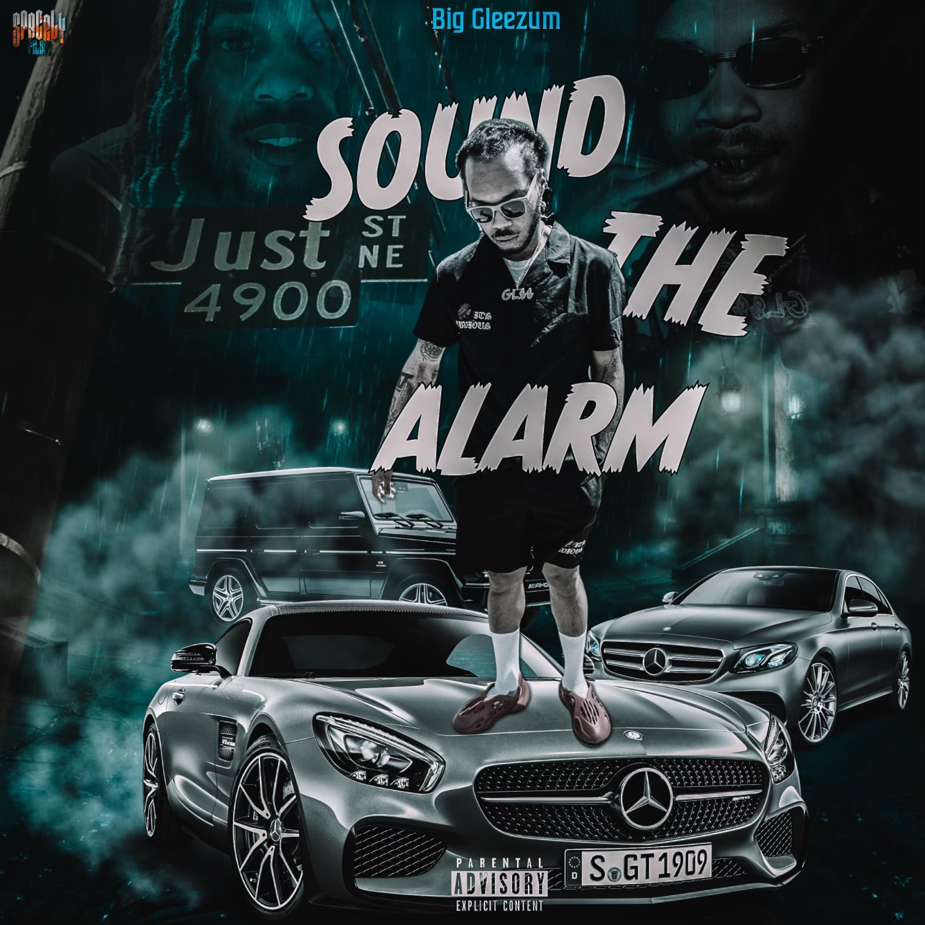 Sound The Alarm artwork