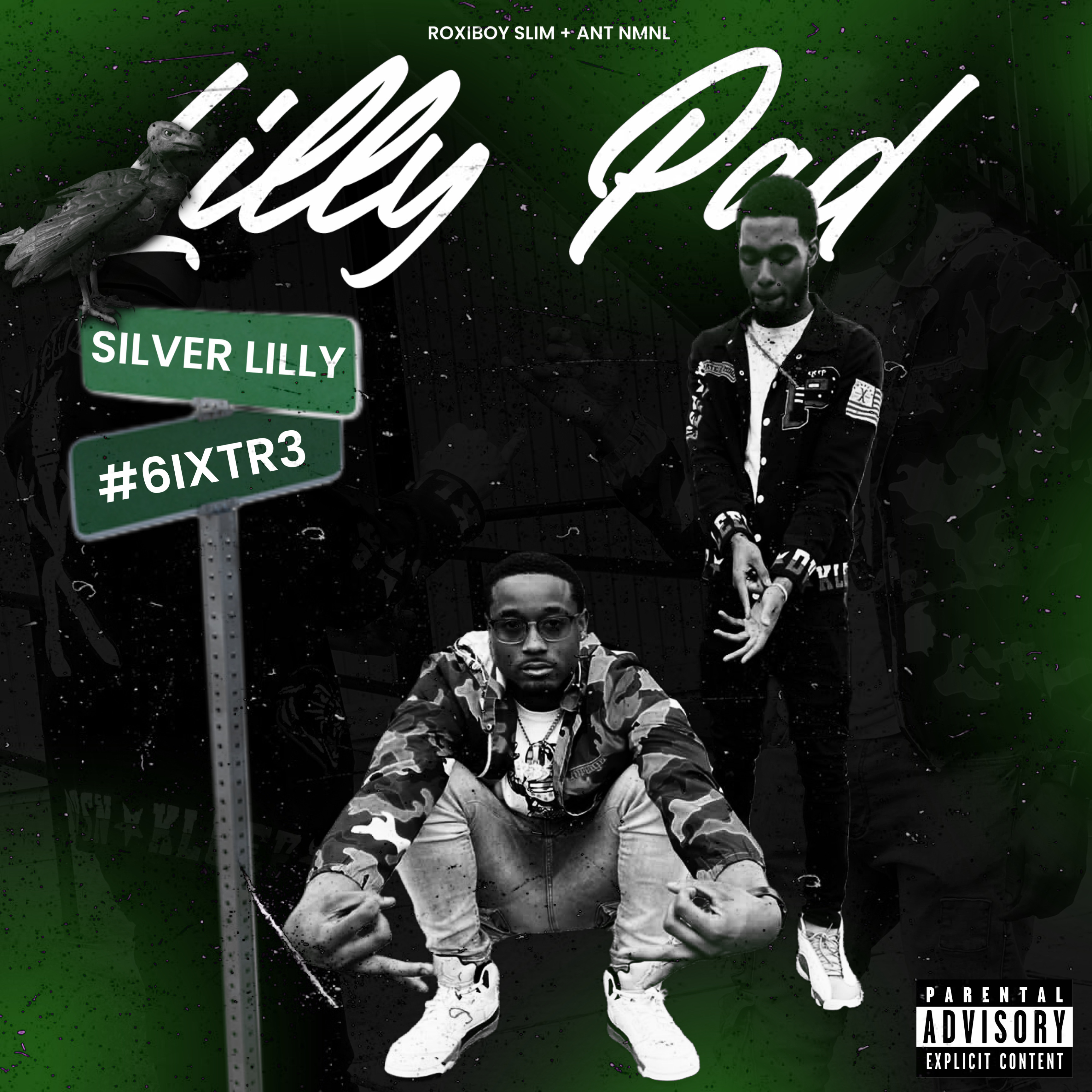 Lilly Pad by Roxiboy Slim cover art