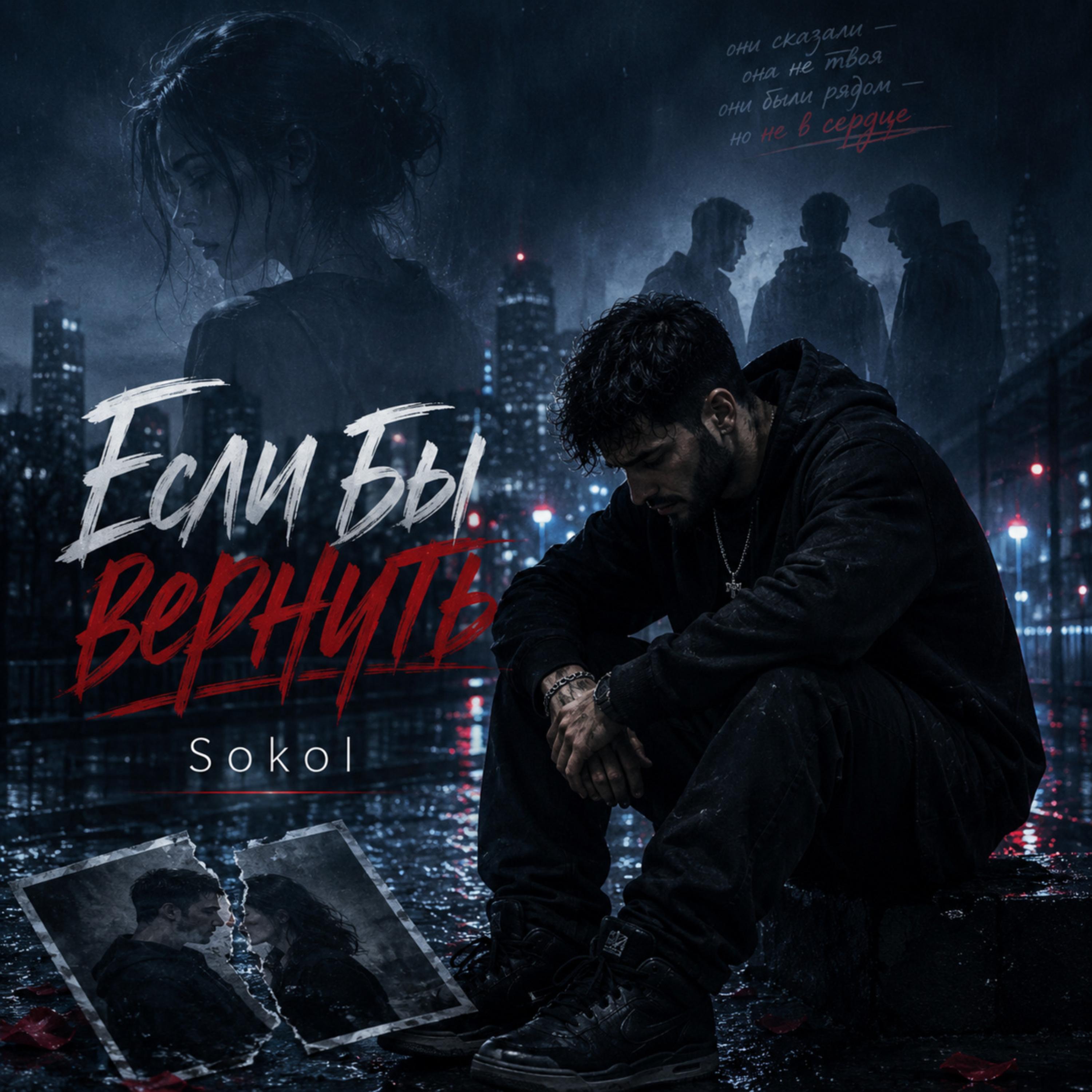 Если бы вернуть by Sokol cover art