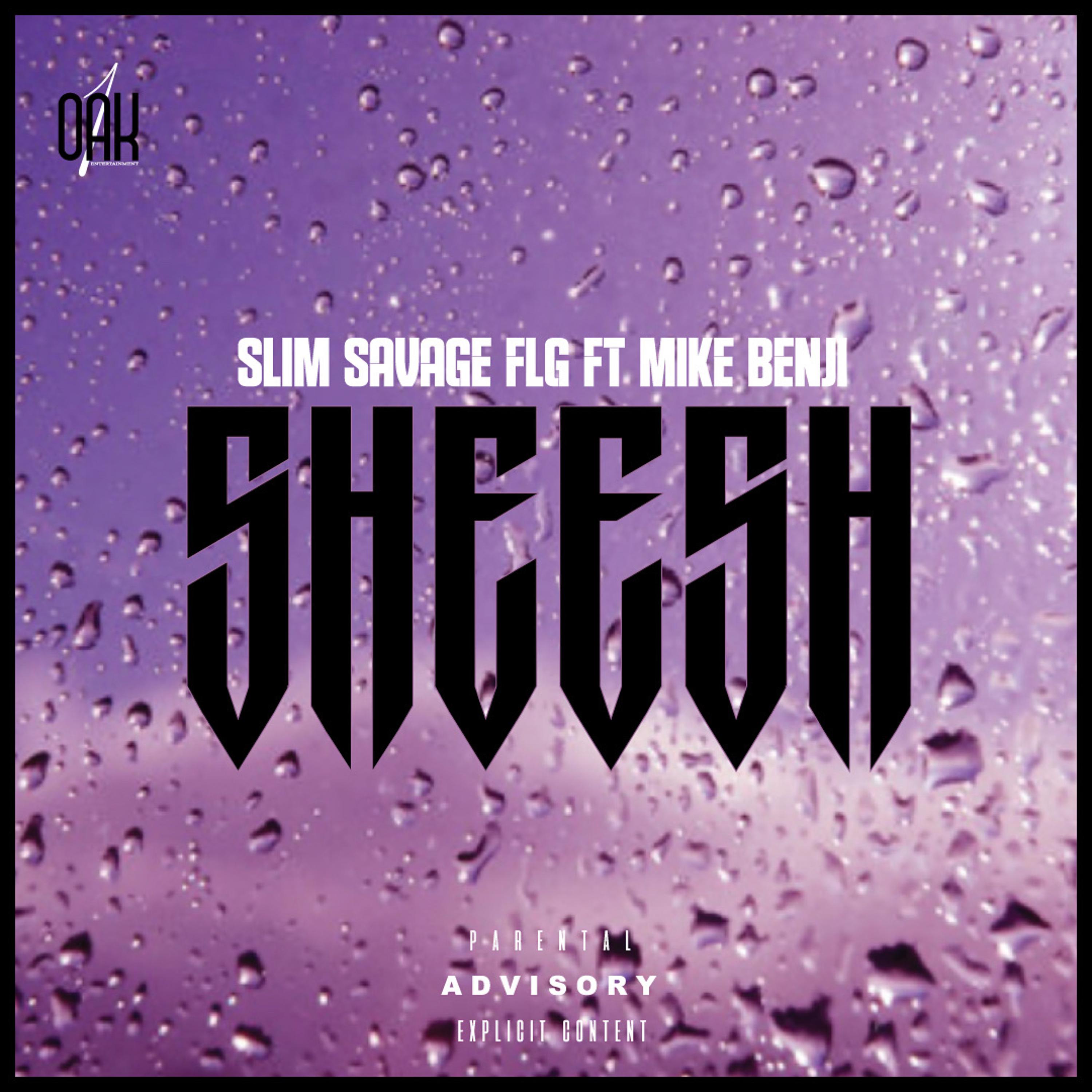 SHEESH artwork