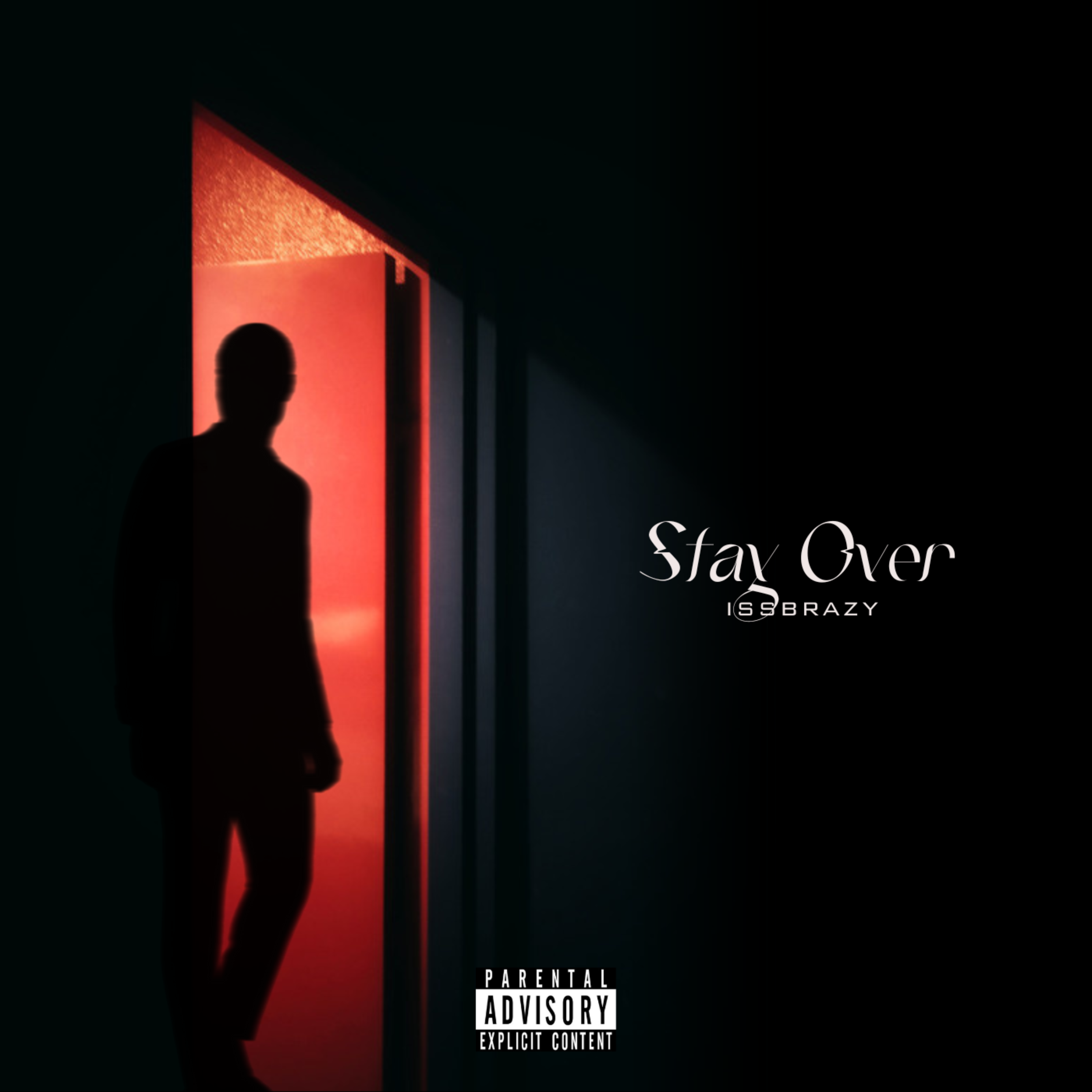Stay Over artwork