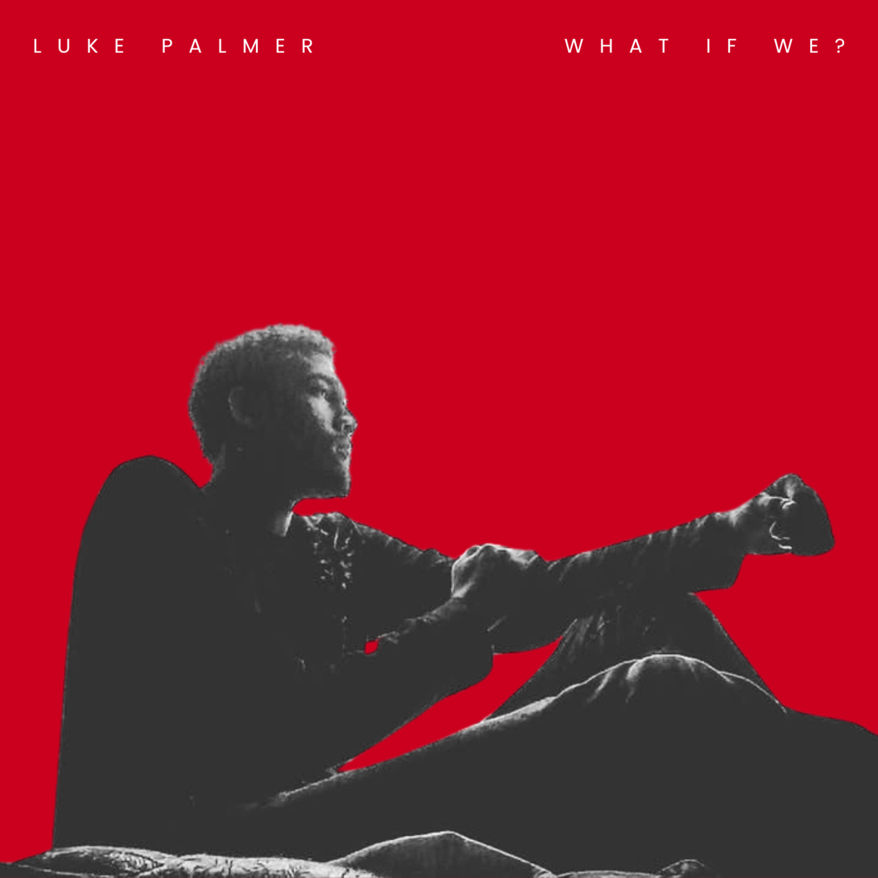 What If We? artwork