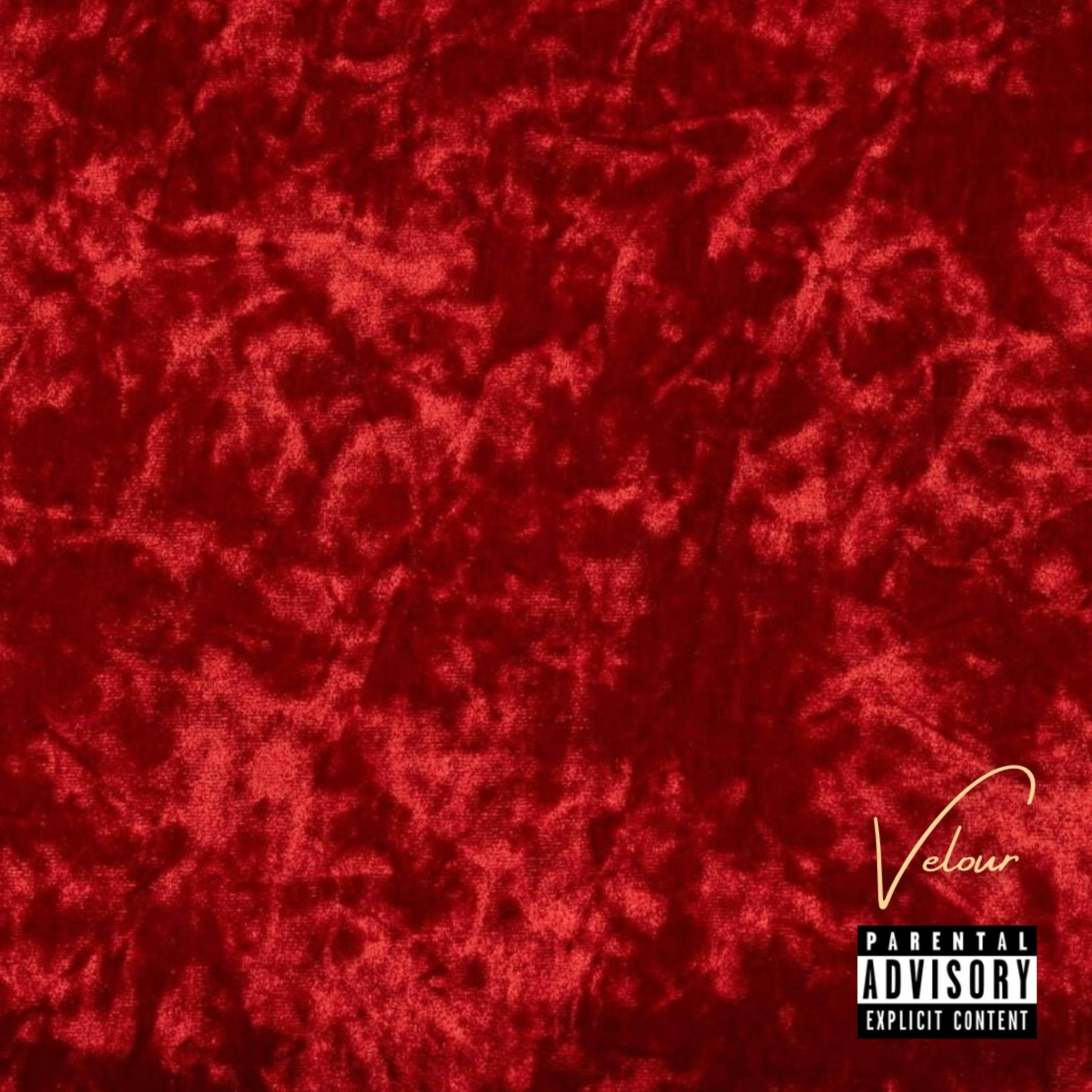 VELOUR artwork