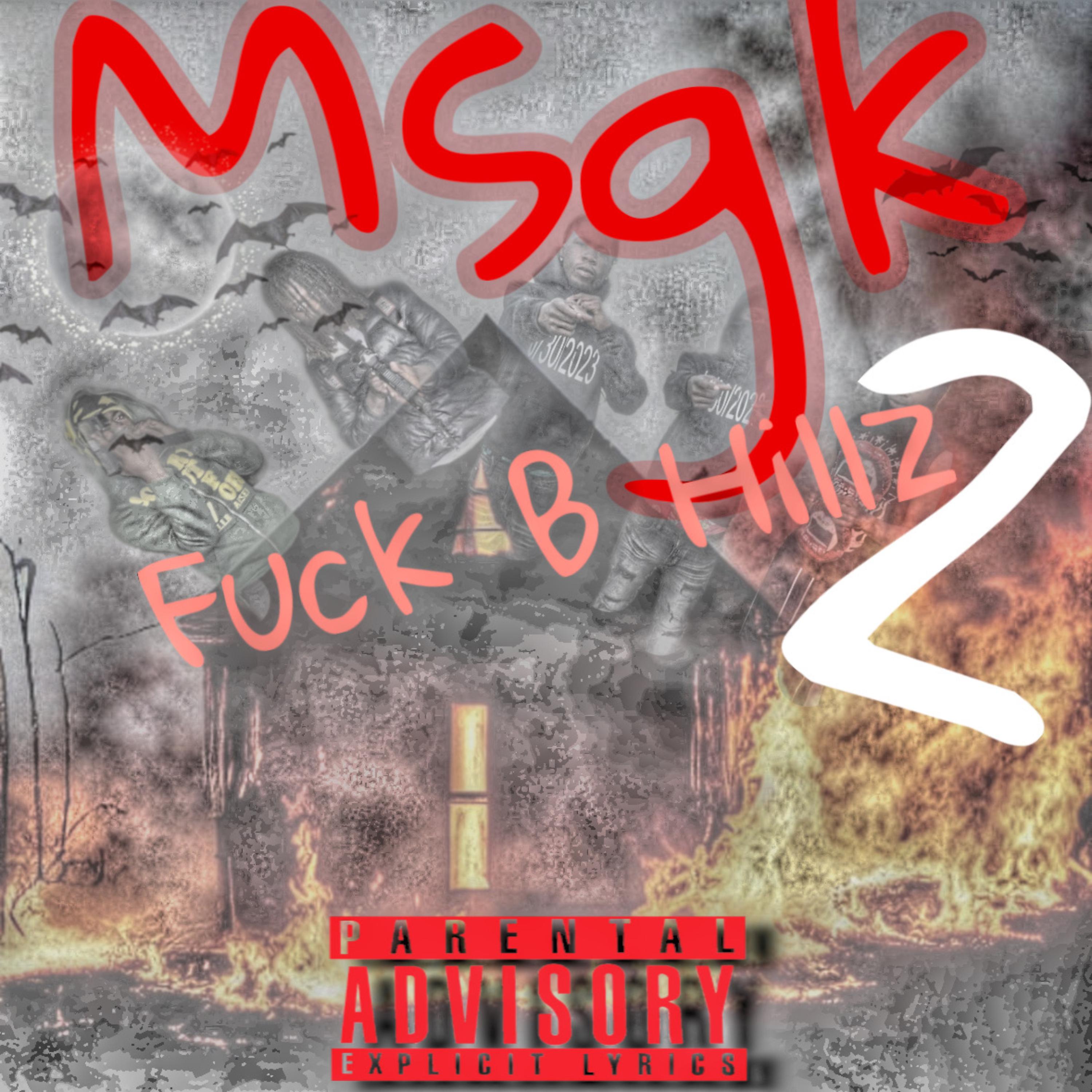 MSGK 2 artwork