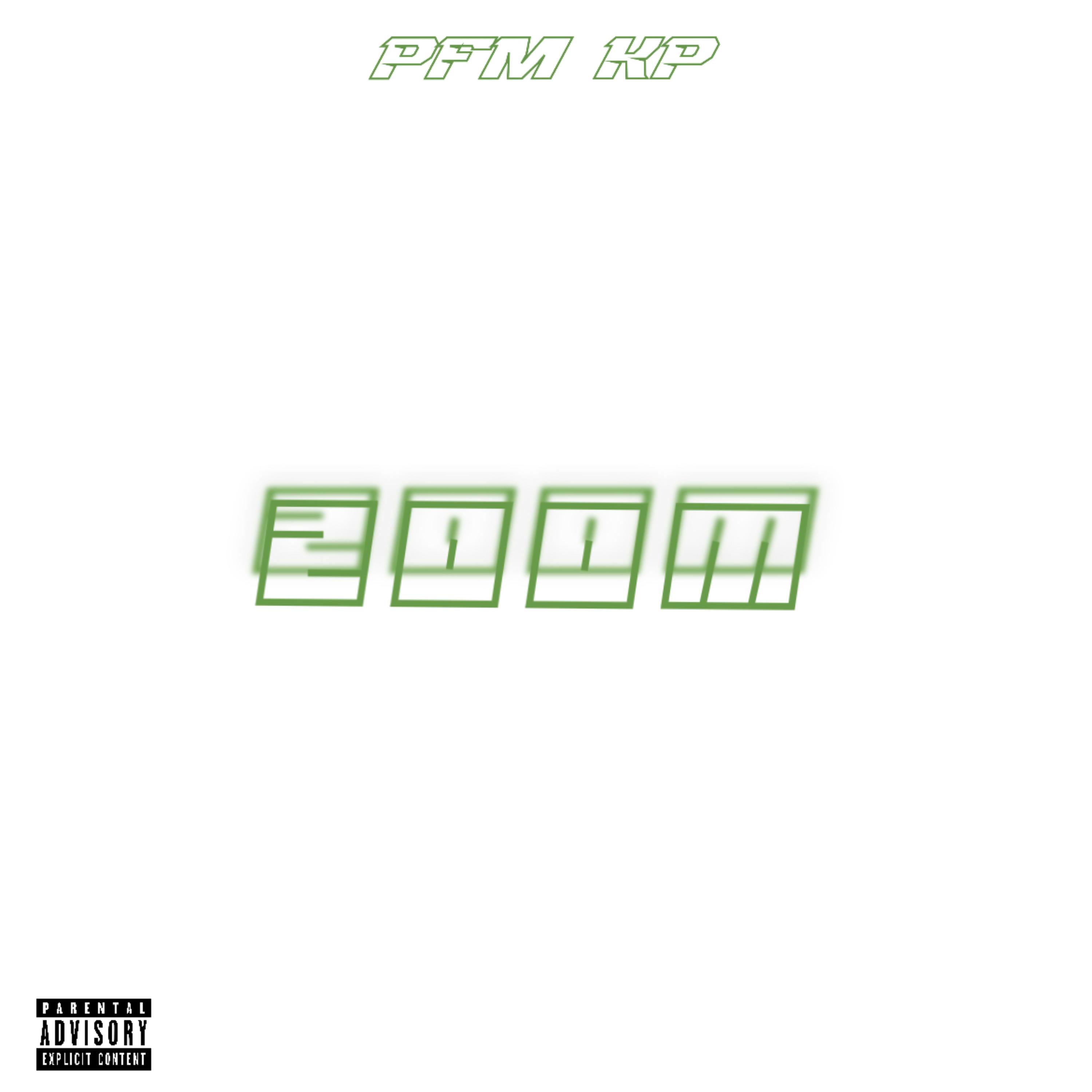 ZOOM artwork