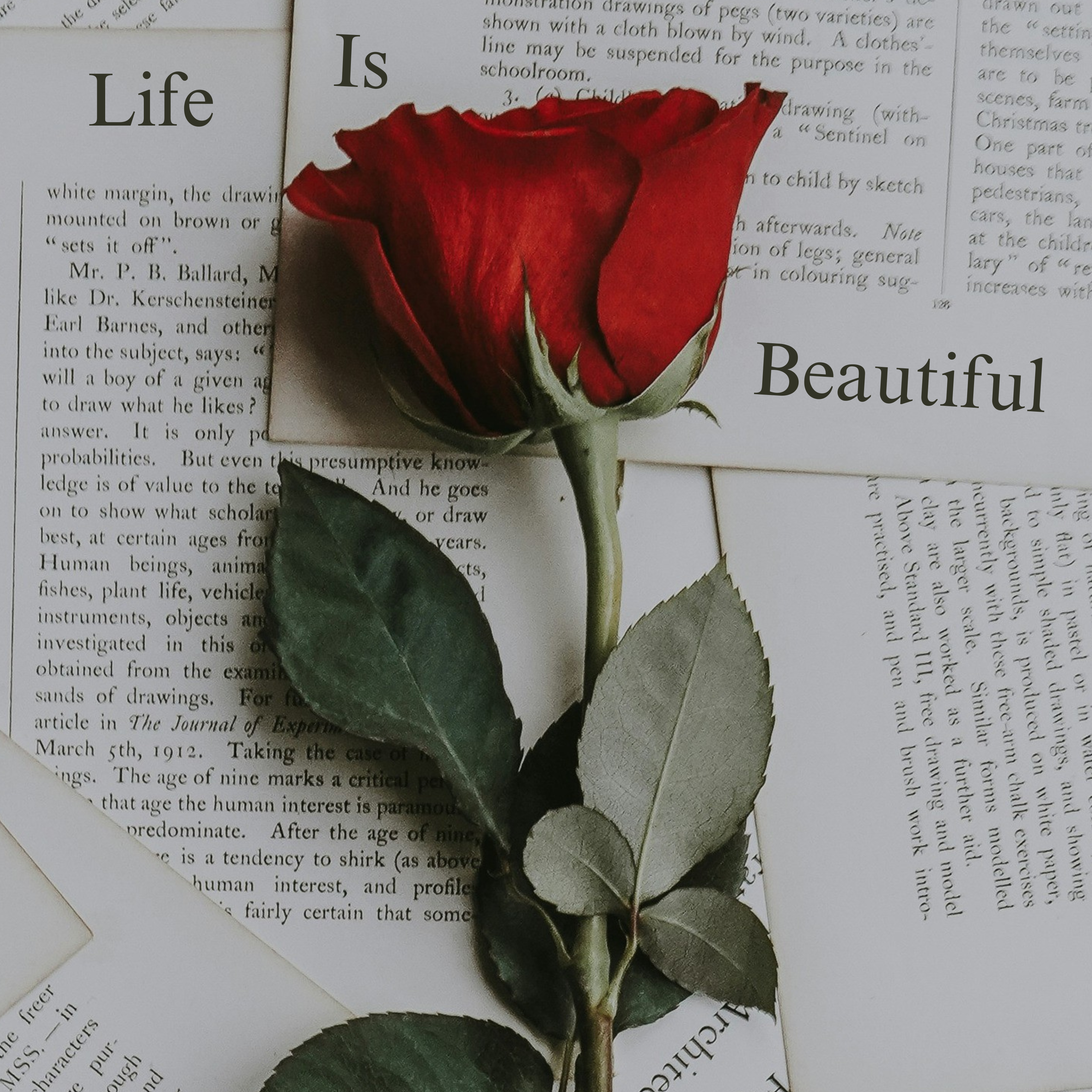 LIFE IS BEAUTIFUL artwork